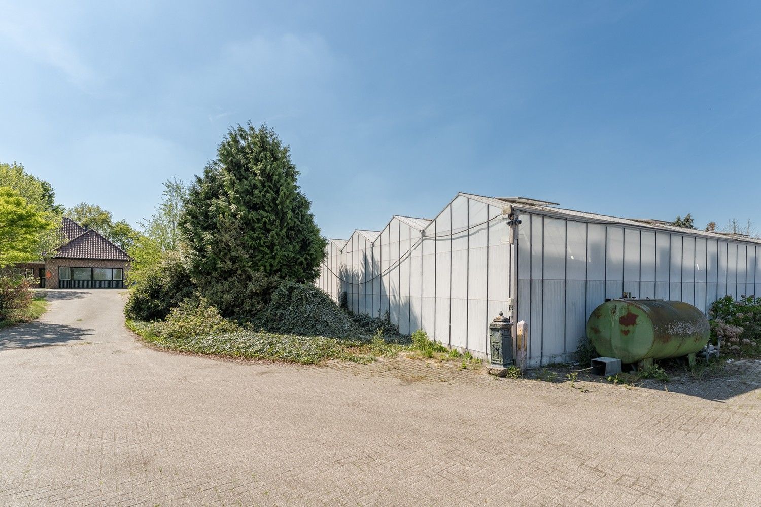 Uitgebreid Tuindersbedrijf met Woonhuis, Serres, Schermhallen en grote Bedrijfsloods op 2ha56a77! foto 9