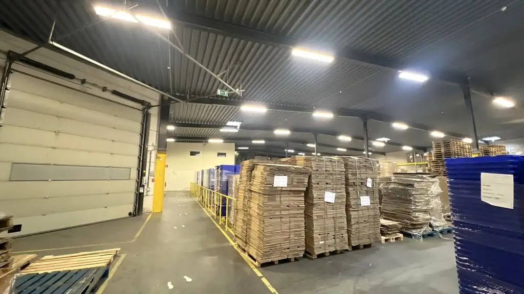 Magazijn met sociale ruimtes te huur in Industriepark-Drongen foto 5