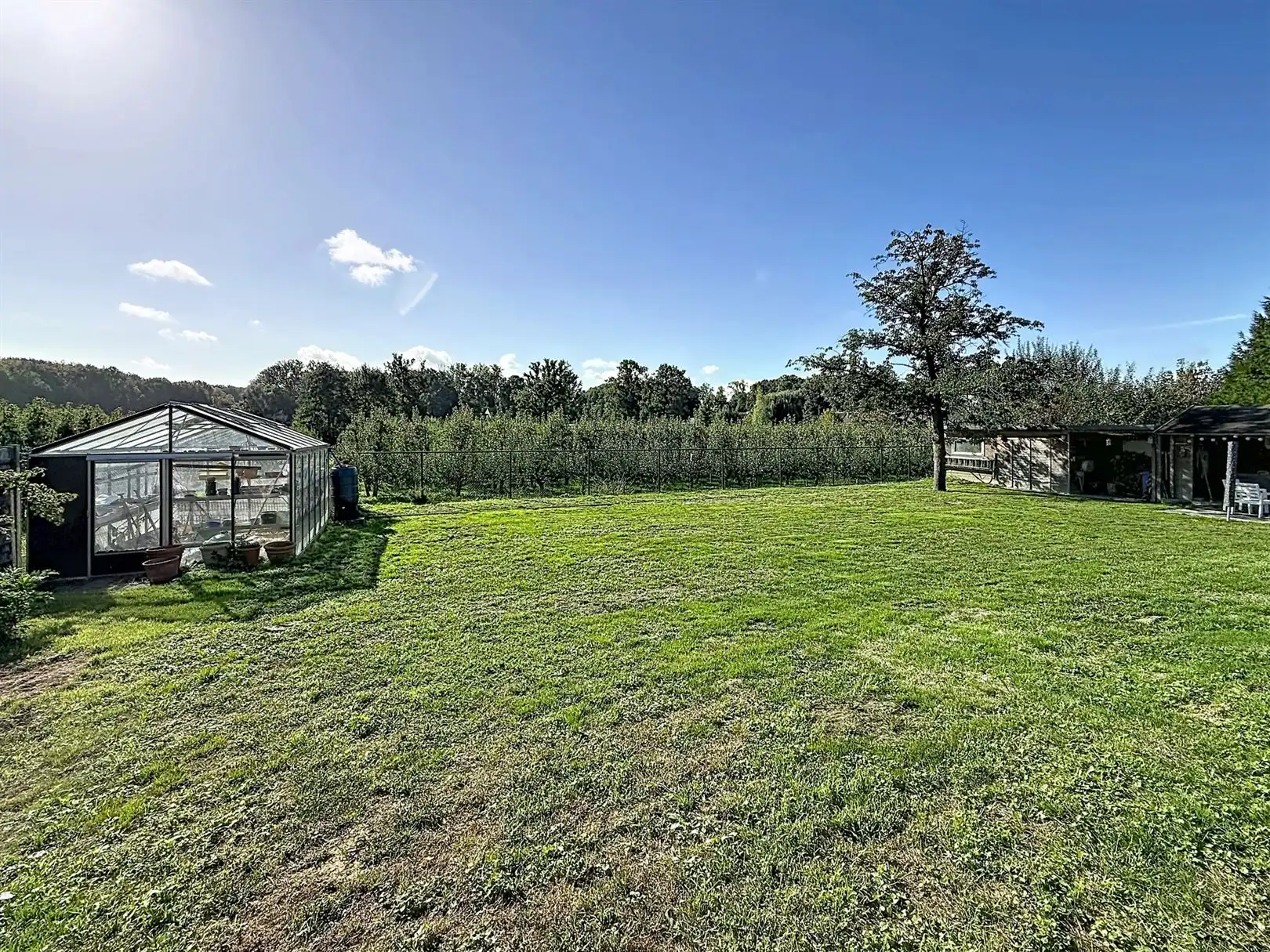 Ruime open bebouwing (bungalow), 3 slpks, 14a 10ca foto 44