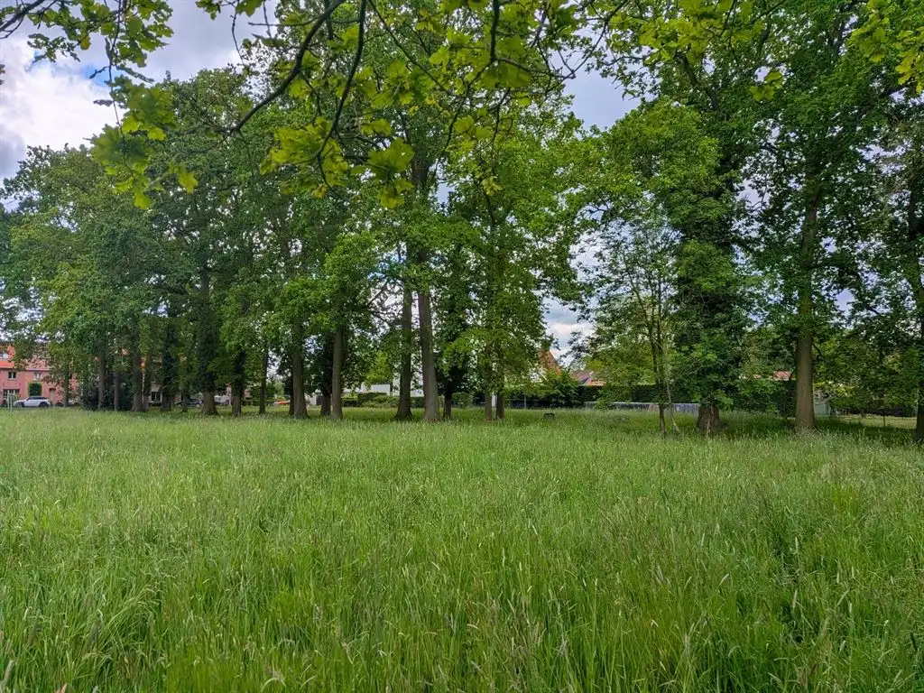 Perceel van 3.000m² voor open bebouwing met zicht op weilanden foto 6