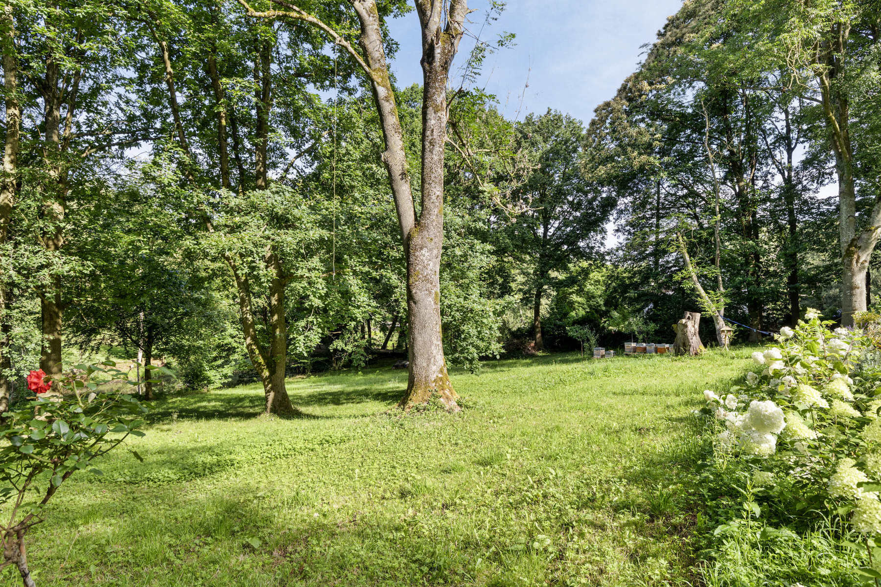 Unieke woning te midden van het prachtige Kamerijkbos foto 5