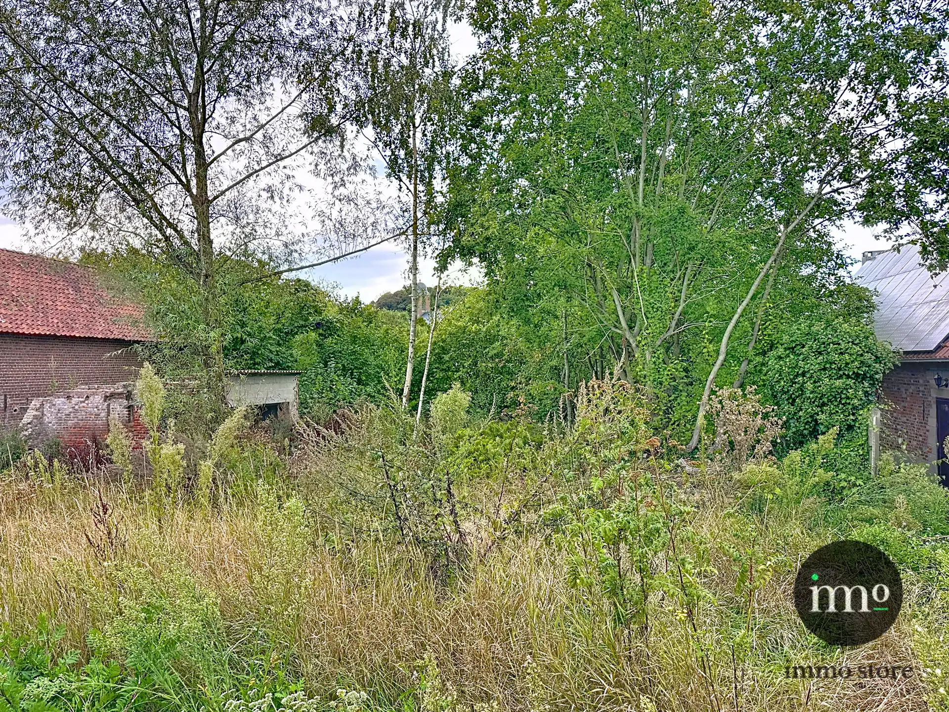 Grond te koop foto 3