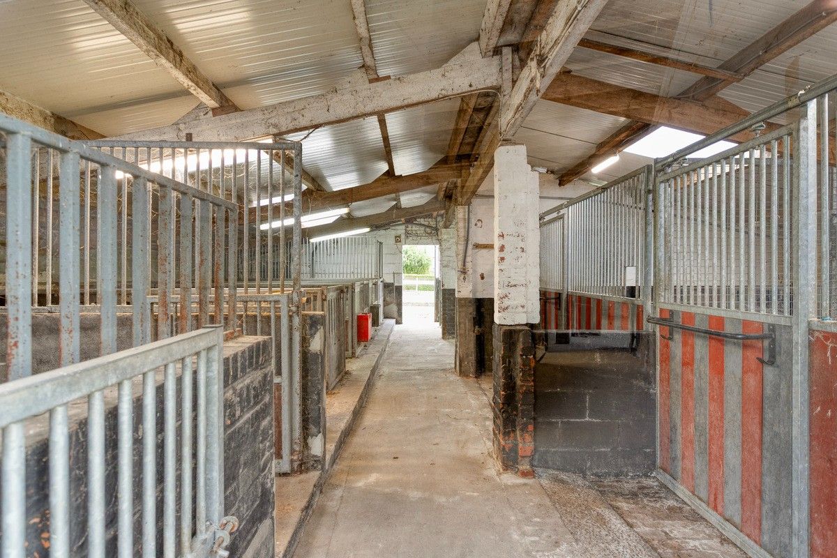 Ruime instapklare hoeve met diverse bijgebouwen foto 22