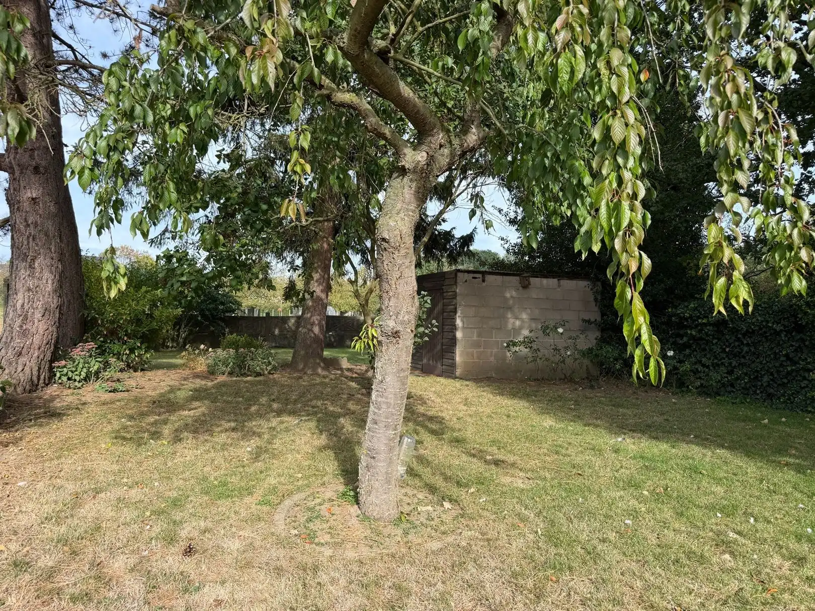 Huis foto 38