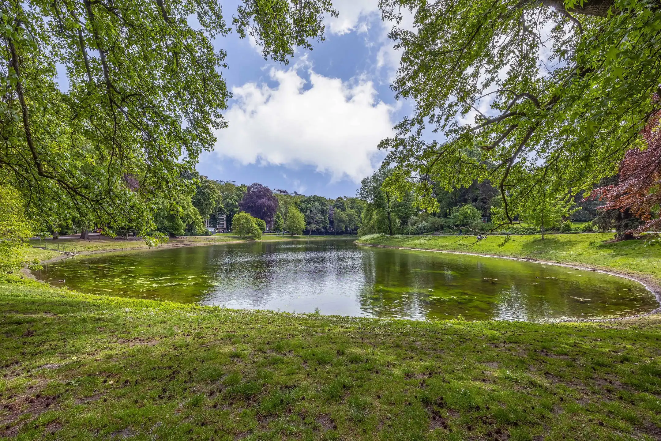 Stijlvol wonen met zicht op het stadspark foto 20