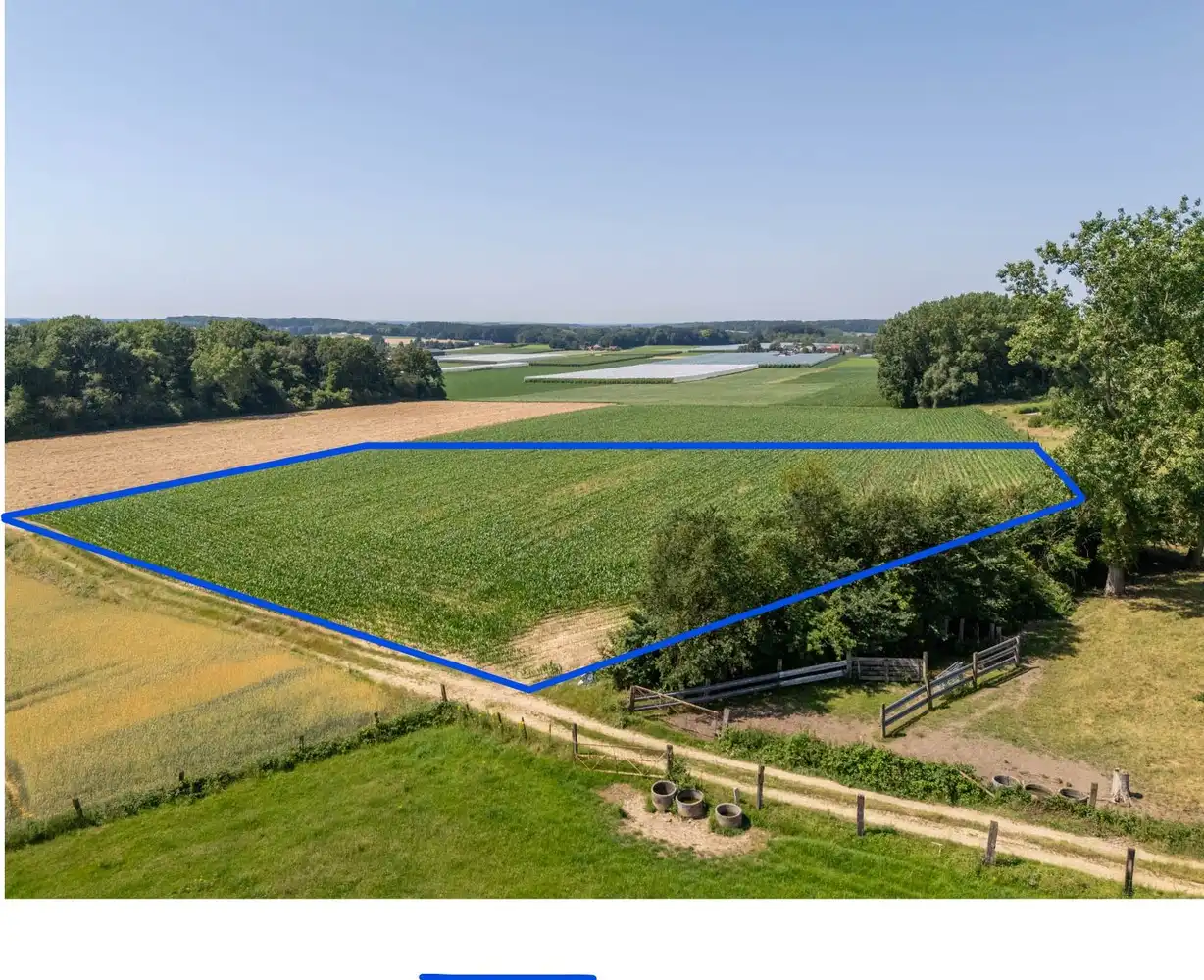 1,6ha verpachte (nog 7 jaar) landbouwgrond te koop foto 18