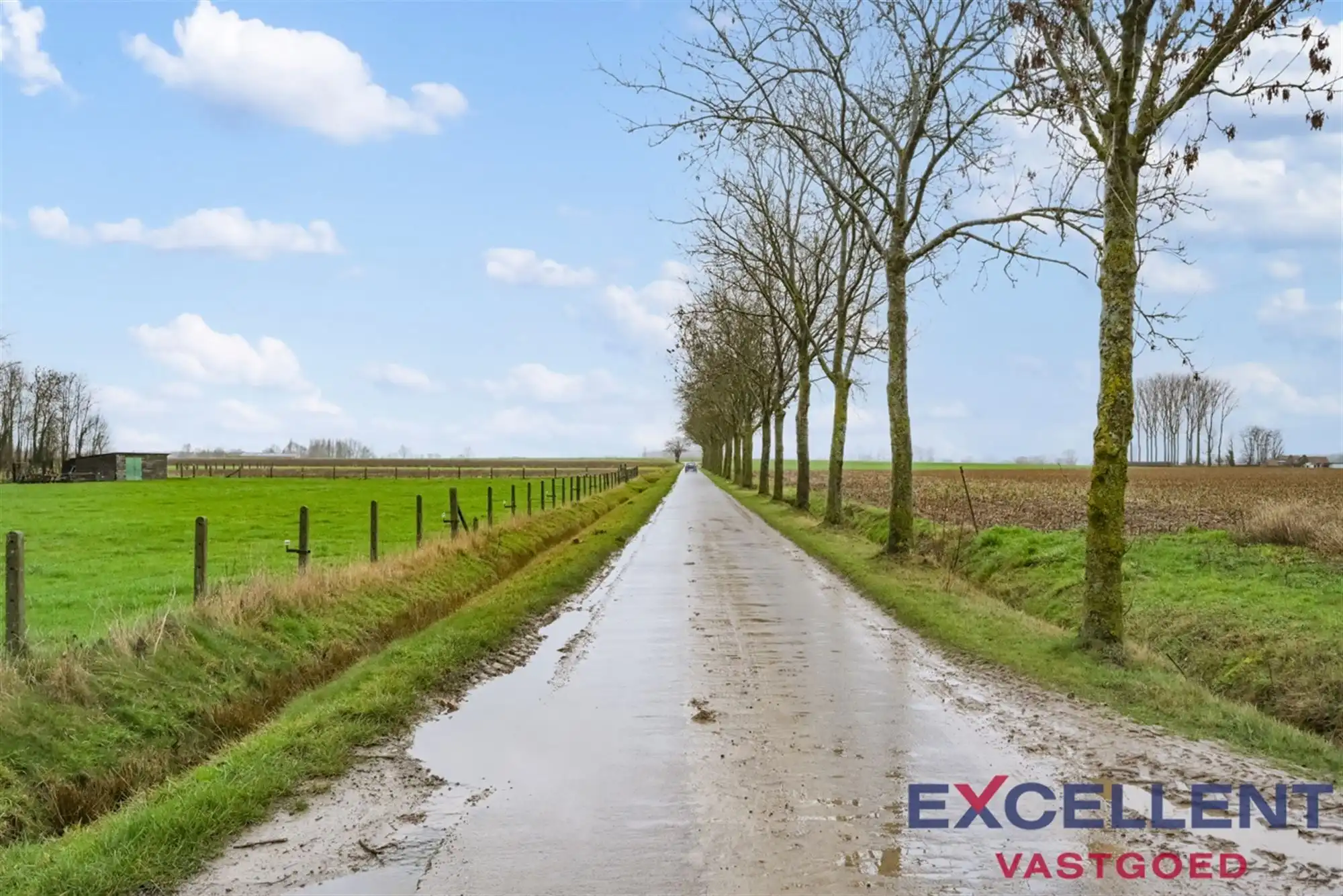 Weidegrond te Hundelgem foto 5