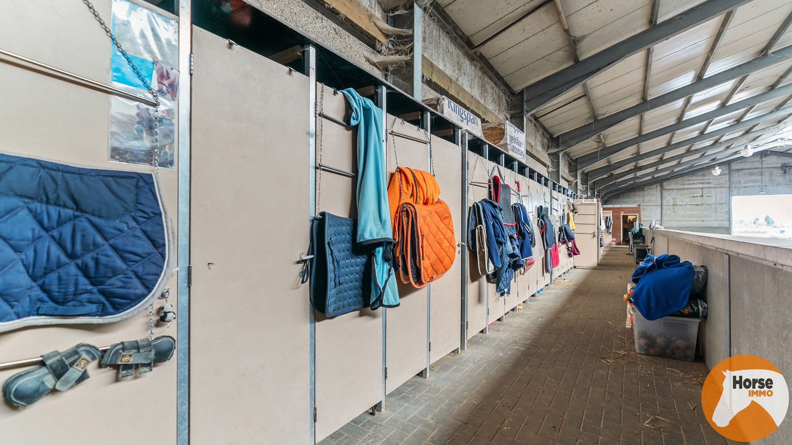 KAMPENHOUT - Professionele paardenaccommodatie op 4ha28 foto 7