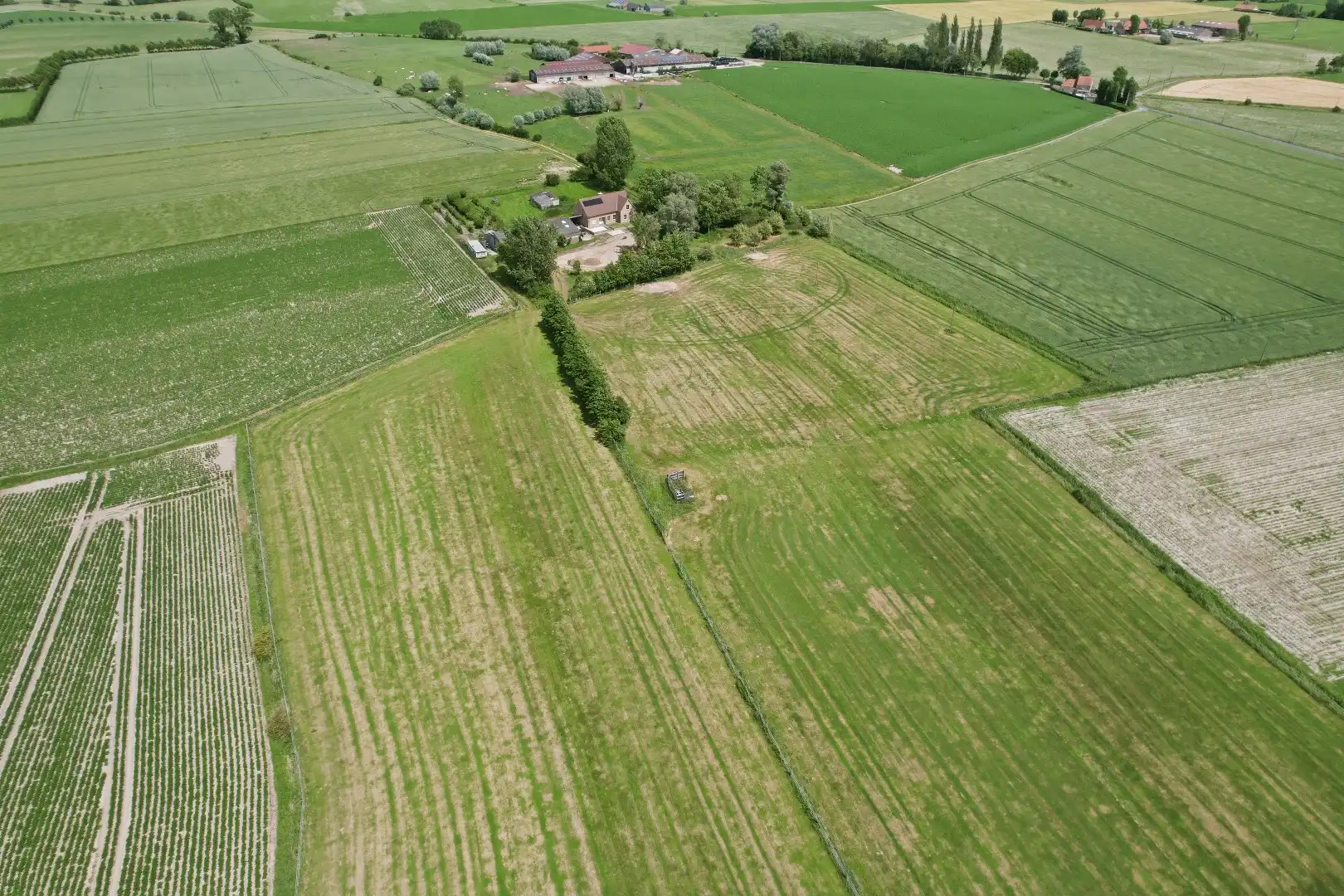 Recente open bebouwing (2019) op een perceel van maar liefst 44.888 m² foto 7