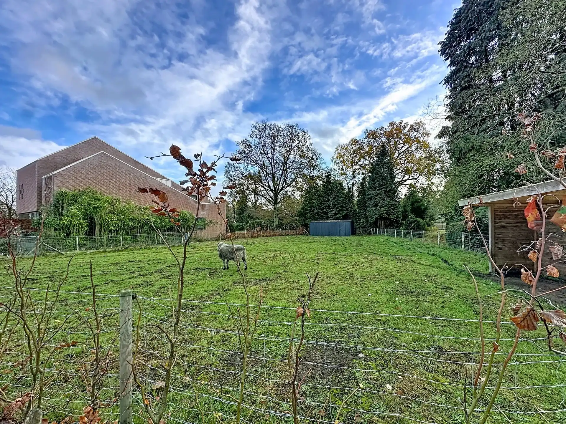 Bouwgrond voor open bebouwing te Mol-Gompel van 7a18ca. foto 3