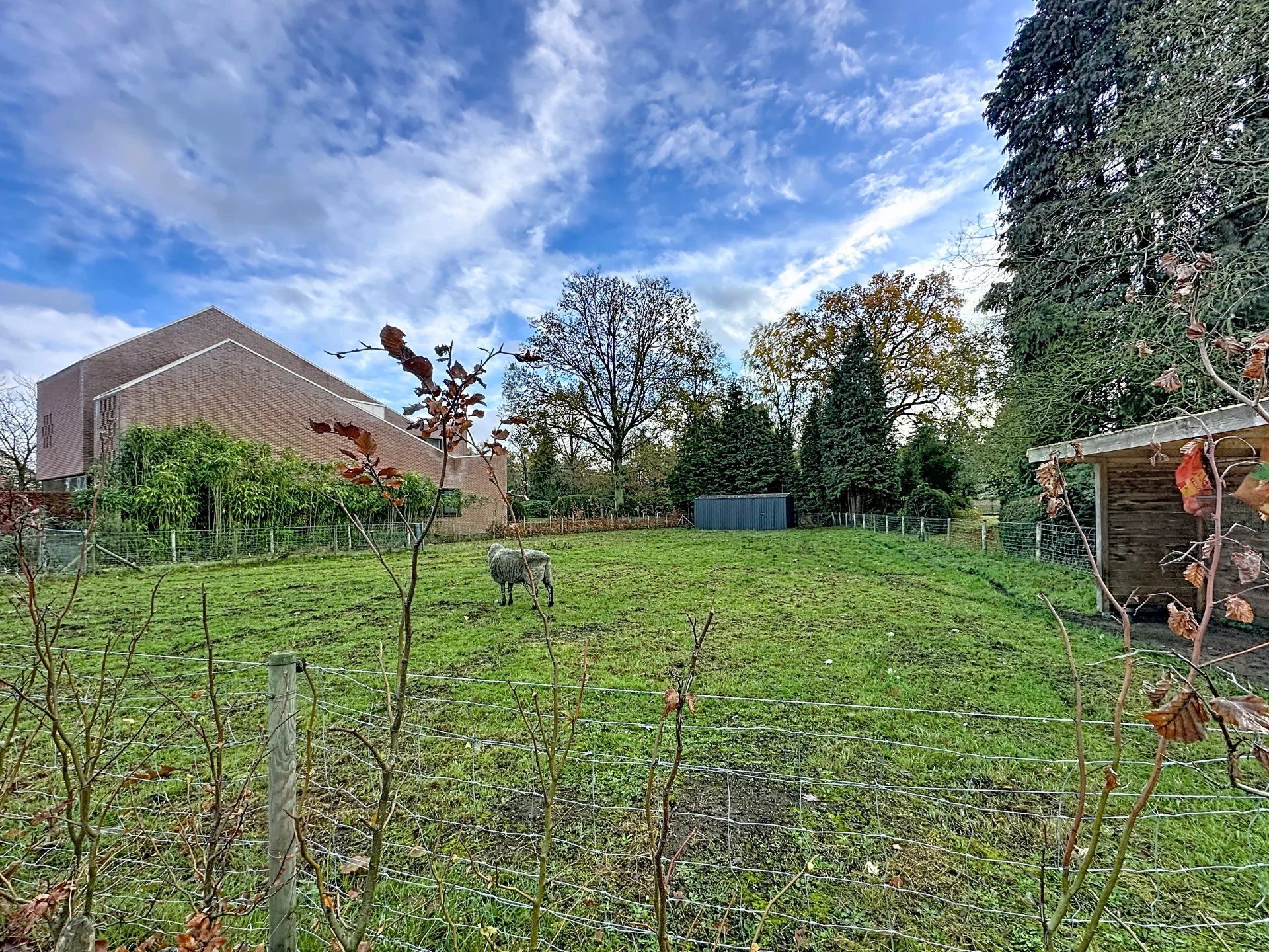 Bouwgrond voor open bebouwing te Mol-Gompel van 7a18ca. foto 3