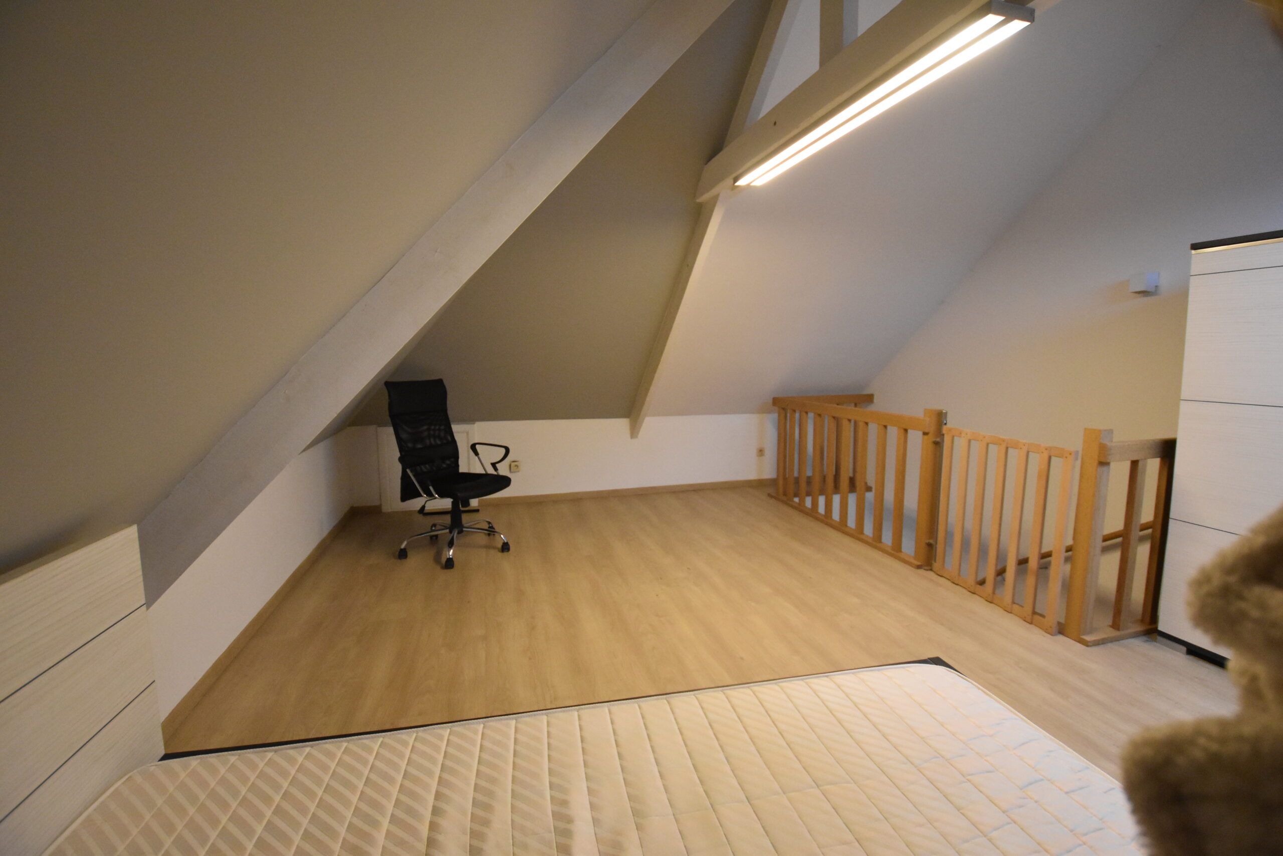 Volledig gerenoveerde woning met tuin en carport foto 15