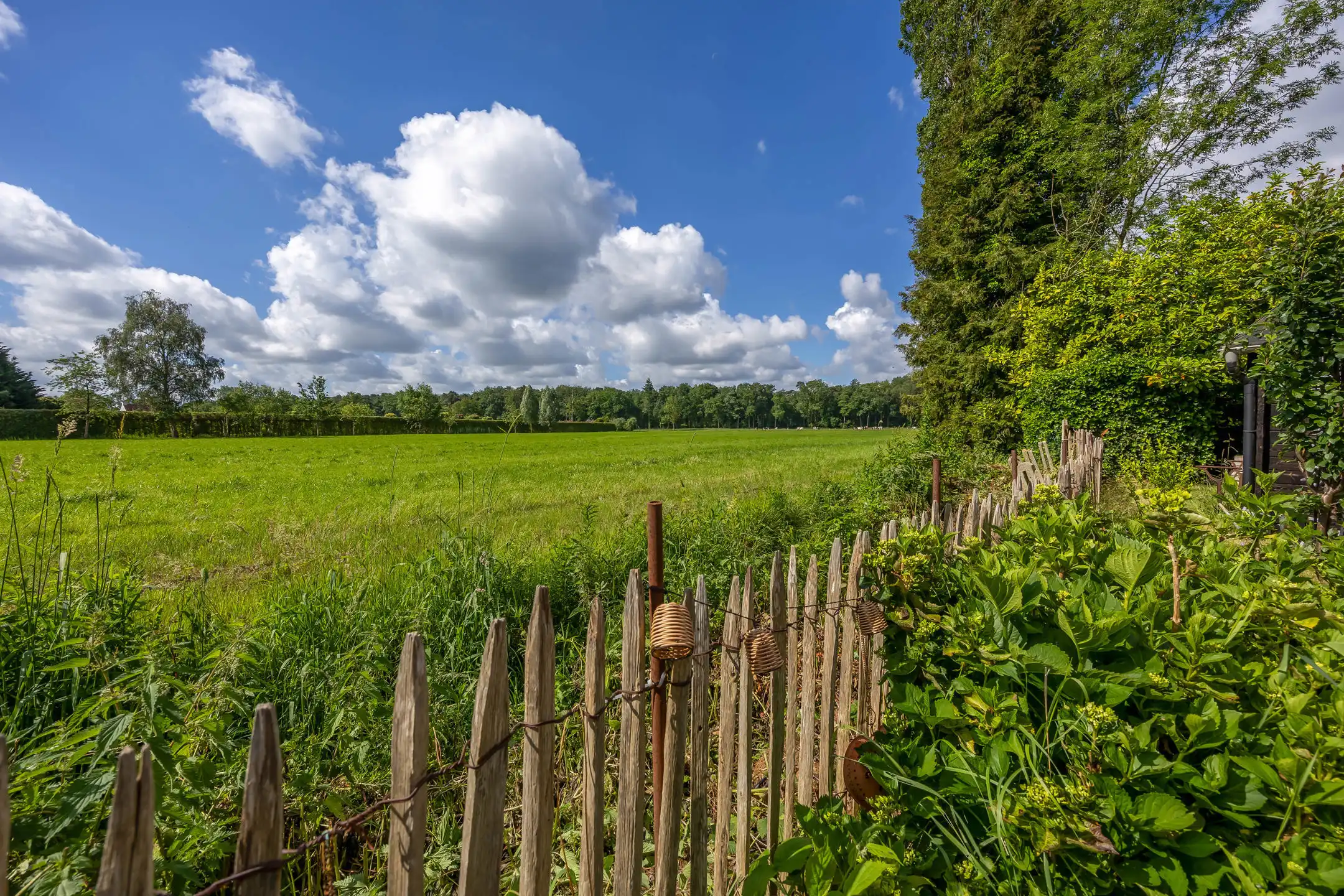 Investeringseigendom op toplocatie in Schilde foto 23