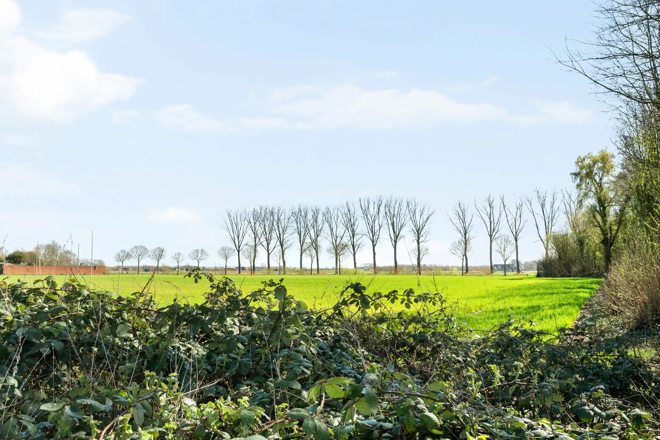 Instapklare halfopen woning met 4 slaapkamers en EPC A  foto 22