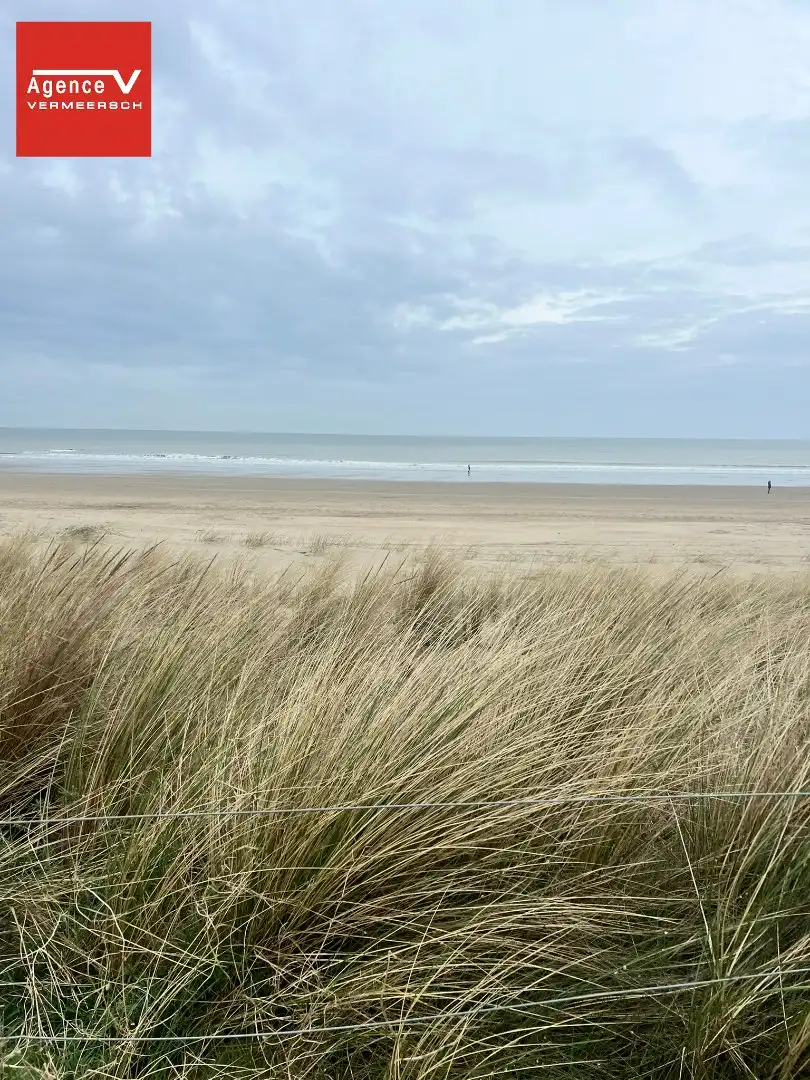 Rustig gelegen studio met terras met zicht op beschermd duingebied.  foto 3