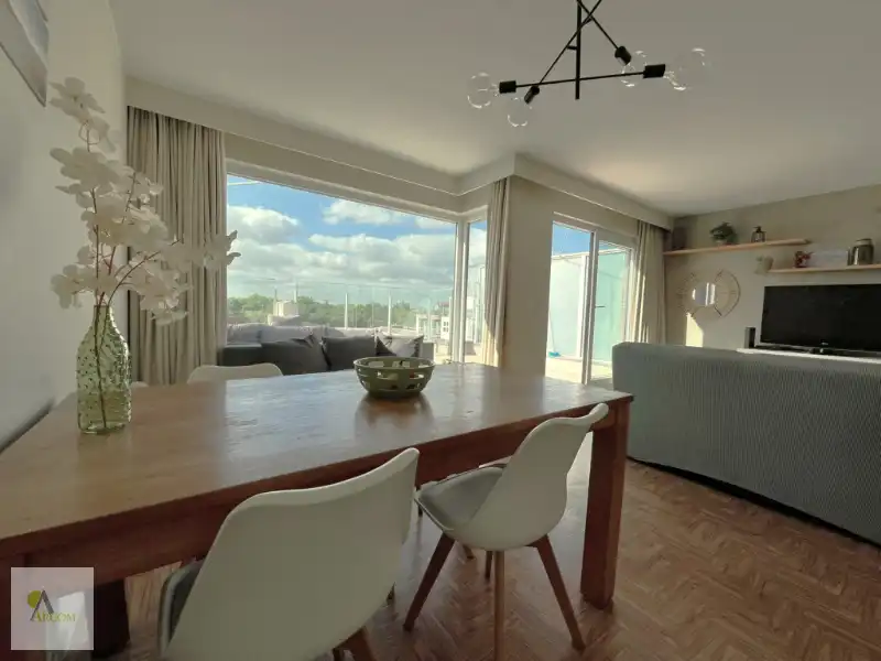 Zonnige, instapklare penthouse met riant terras en panoramisch duinenzicht... foto 5