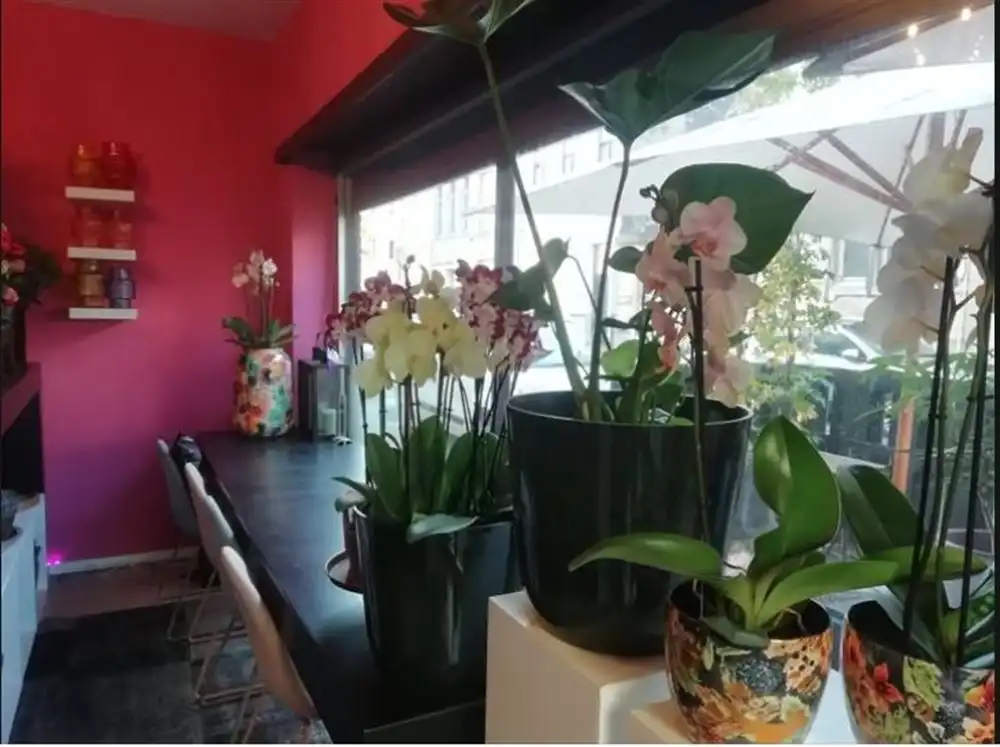 Commerciële ruimte + ruime garagebox | Antwerpen 2060 foto 3