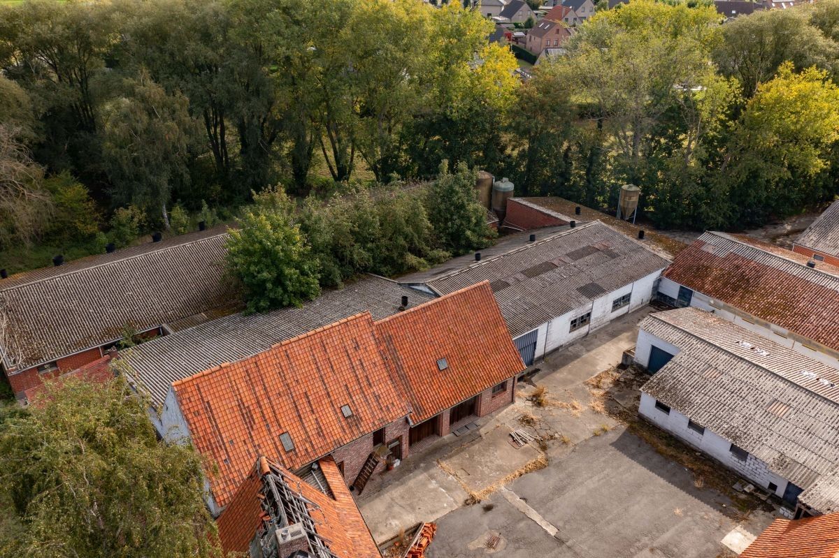 Varkensbedrijf te koop te Bavikhove foto 4