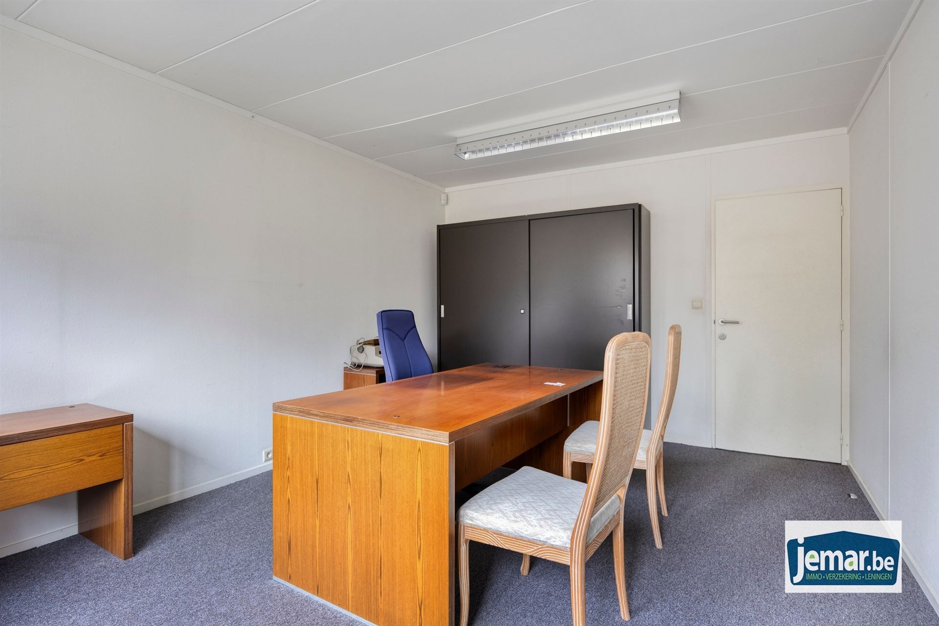 Villa met professionele opslagruimte, kelder en kantoorruimtes. foto 82