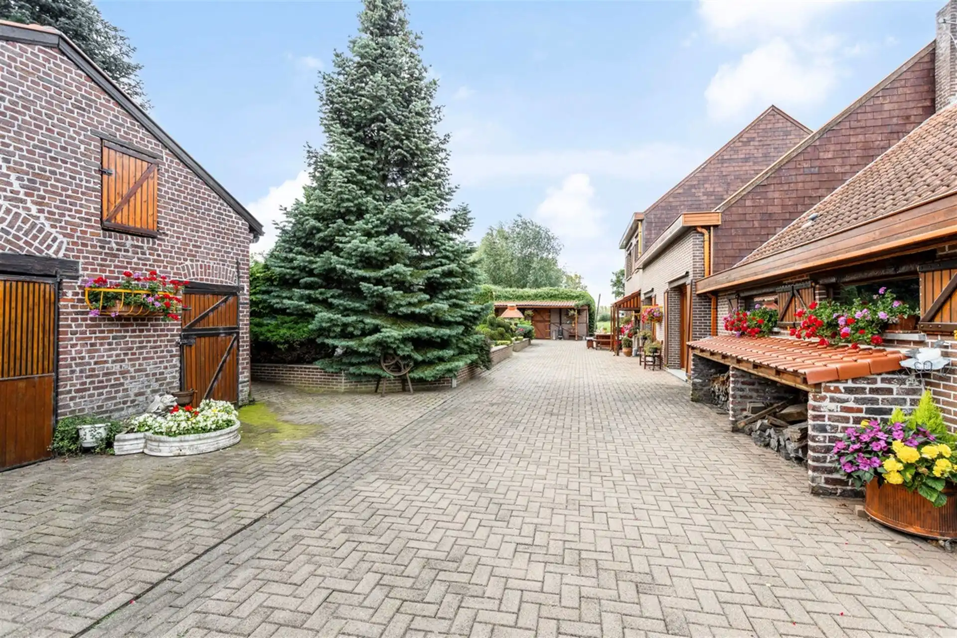 Ruime villa op een domein van +/- 1ha36a foto 3