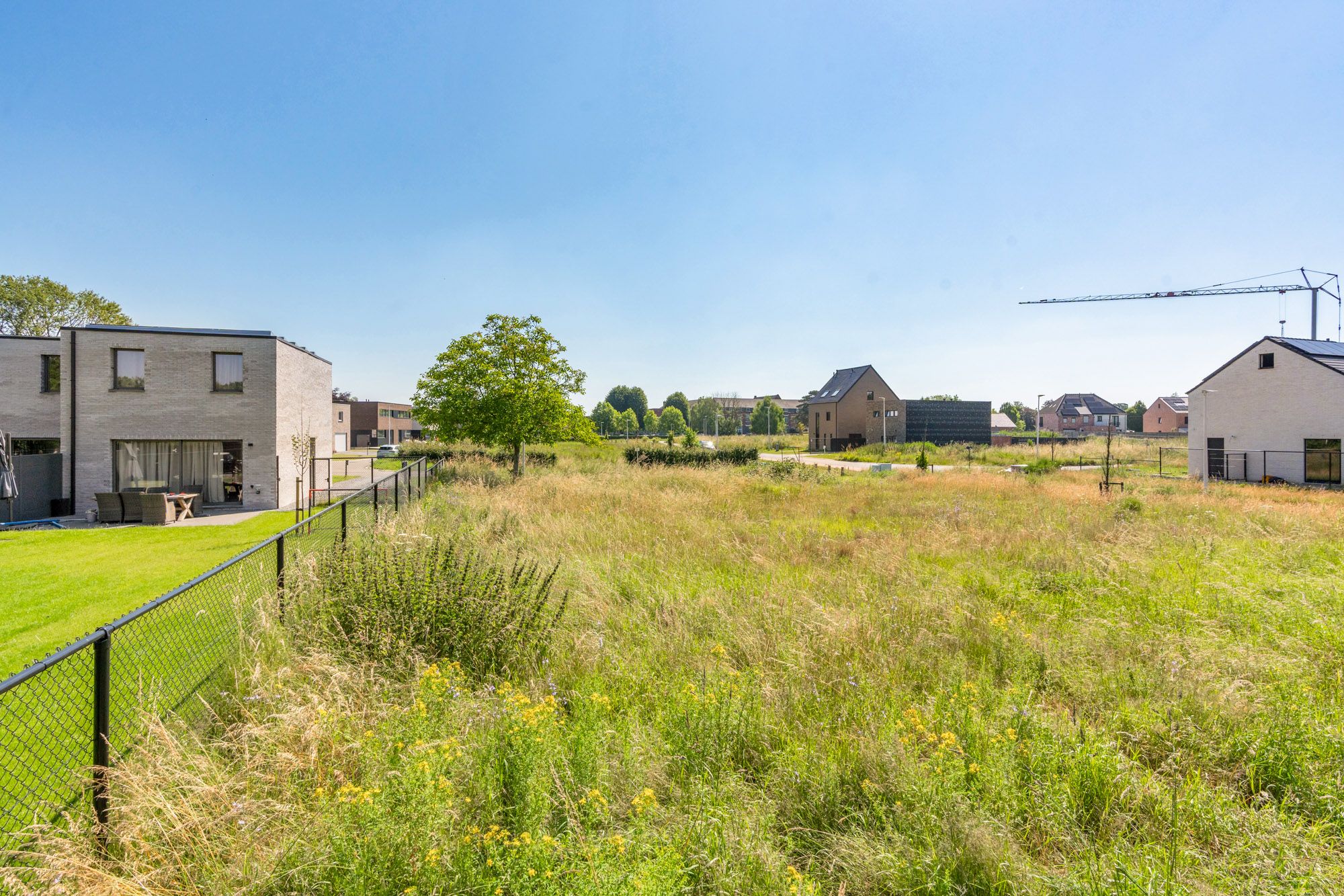 UNIEKE KANS! Deze knappe kavel van 4a 12ca, voor een half open woning, gelegen in Wijchmaal, Peer in een verkeersluwe nieuwbouwverkaveling , biedt een aantrekkelijke mix van rustige landelijke charme en moderne voorzieningen. Zeer gewilde locatie voor zij die opzoek zijn naar harmonie en een evenwichtige levensstijl!  foto 7