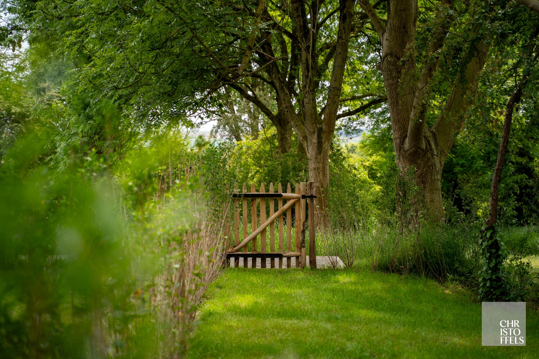Gezinswoning (180m²) in een gerenoveerde hoeve te Riemst! foto 3