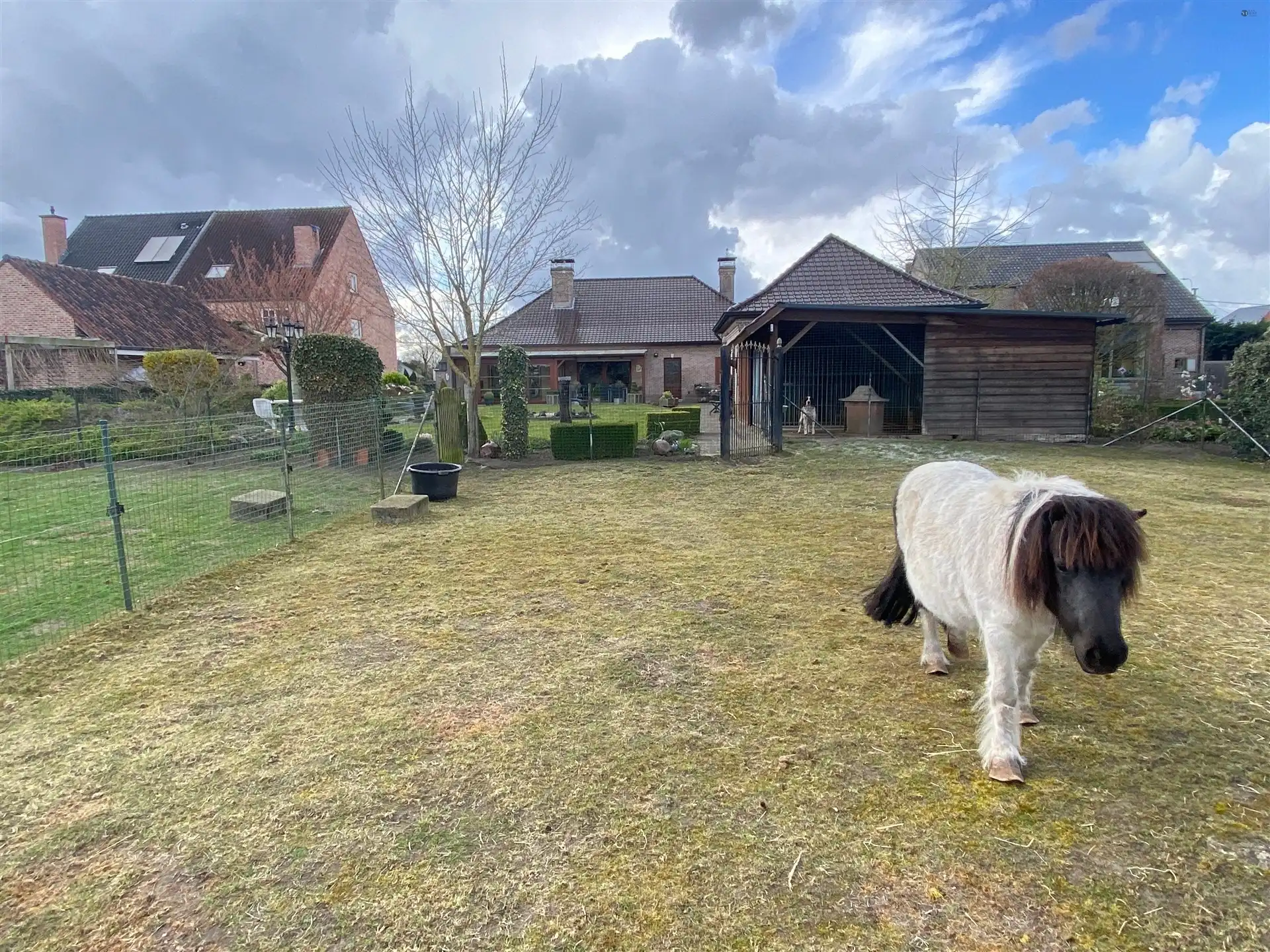 Gelijkvloers, verzorgde en solide woning  foto 2