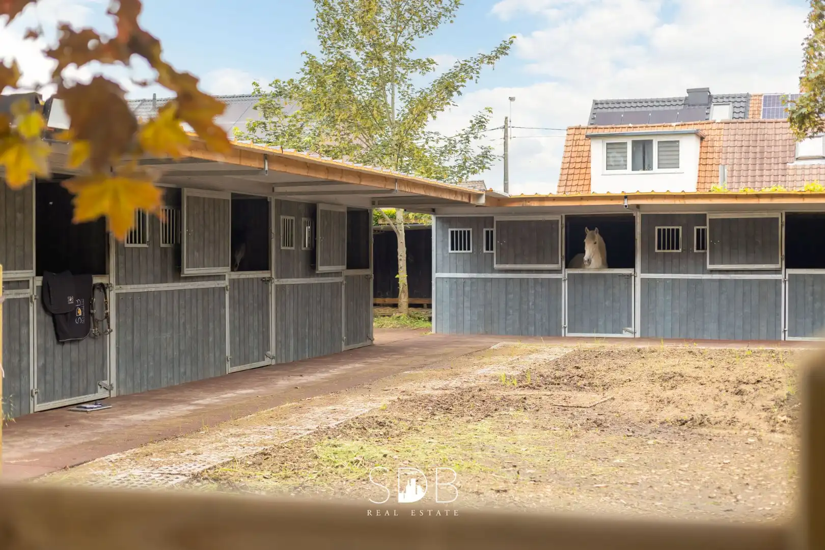 Prachtige villa met zwembad, paardenstallen, paddock en grasland op 1,3HA foto 34