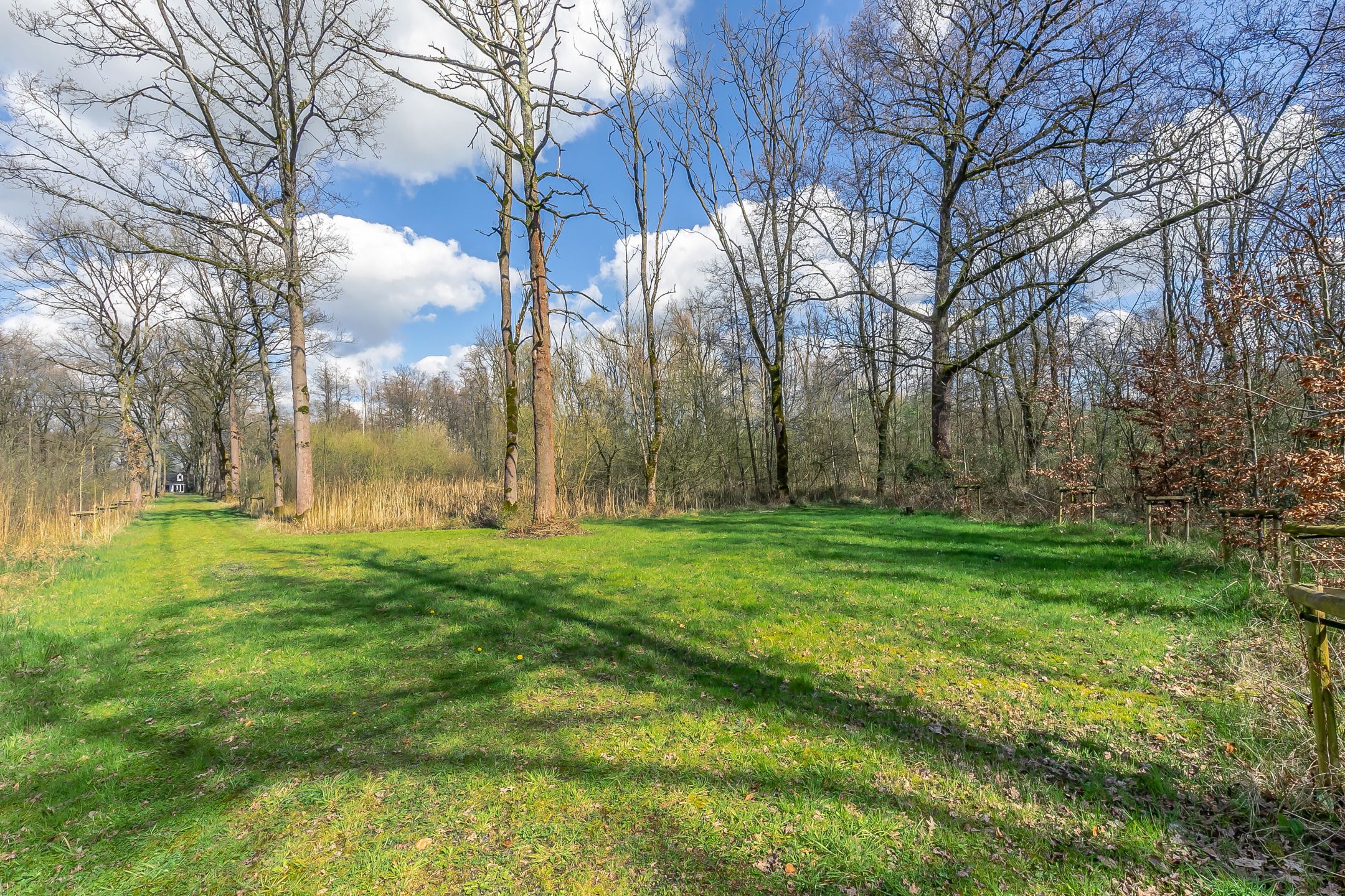 Uitzonderlijk domein met woonst op ca. 143.000 m² foto 13