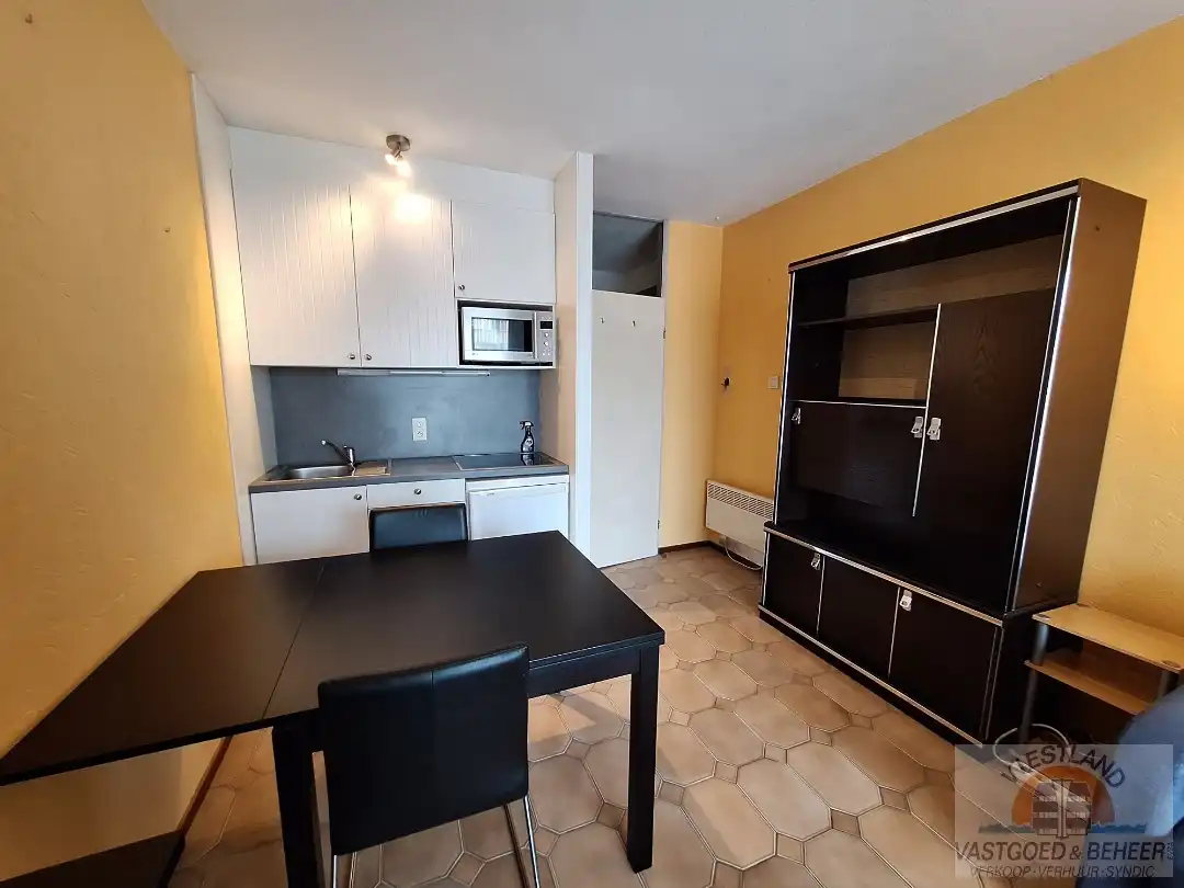 Knusse gemeubelde studio foto 3