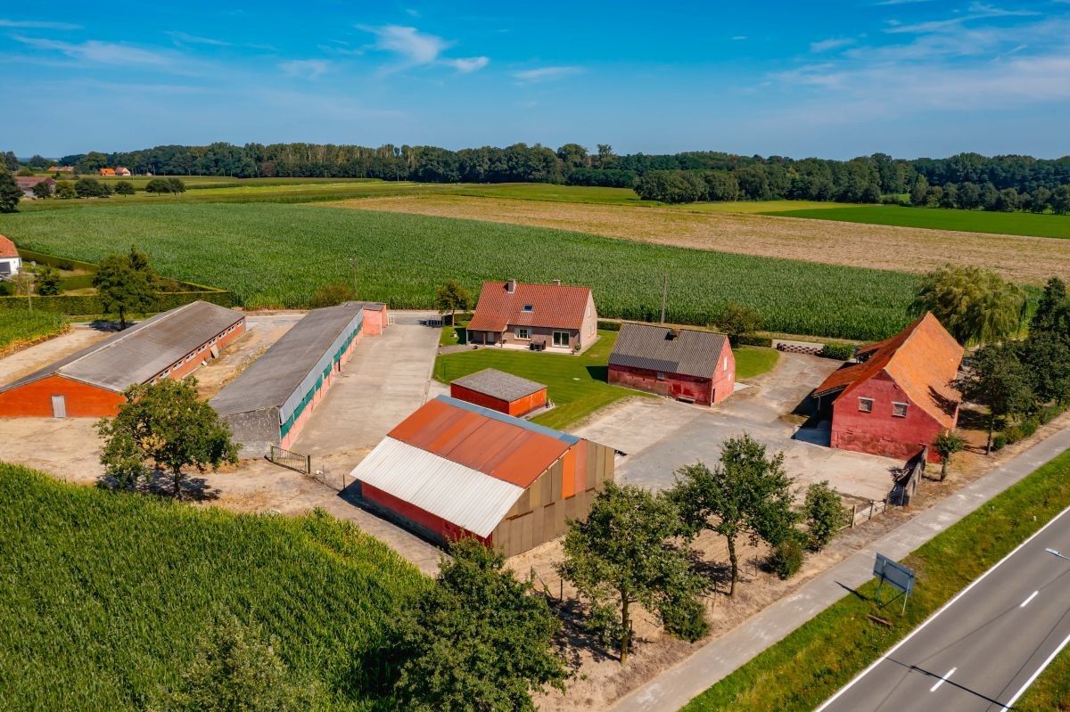 Prachtige hoeve te koop te Kruishoutem op 1,75 ha foto 9