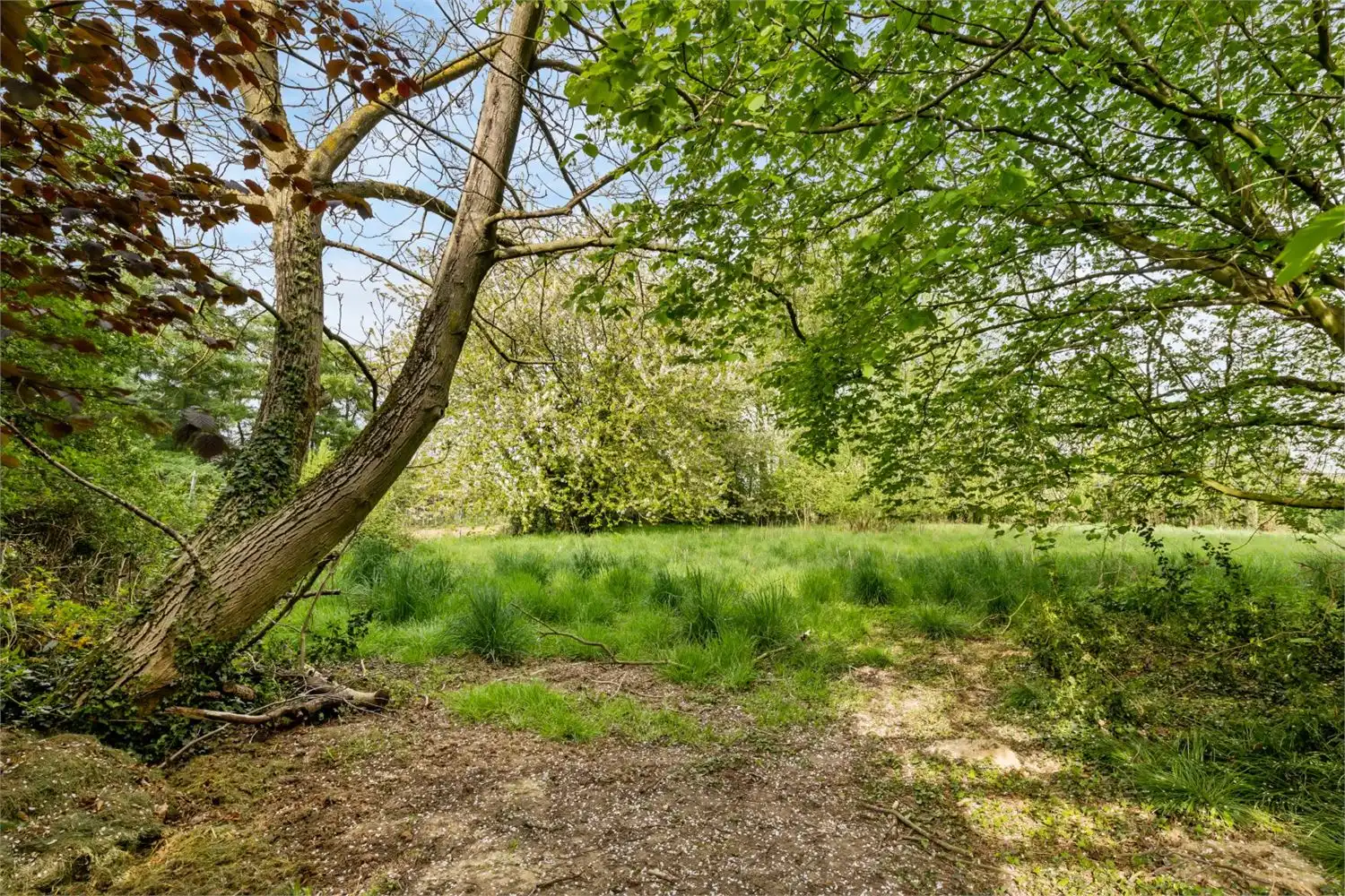 UNIEK GELEGEN BOUWGROND OMGEVEN DOOR GROEN foto 6