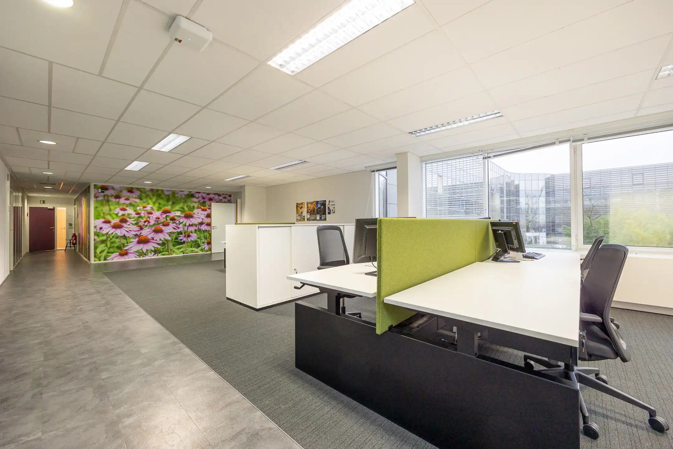 Moderne kantoorruimte in West Port Campus (475 m²) foto 20