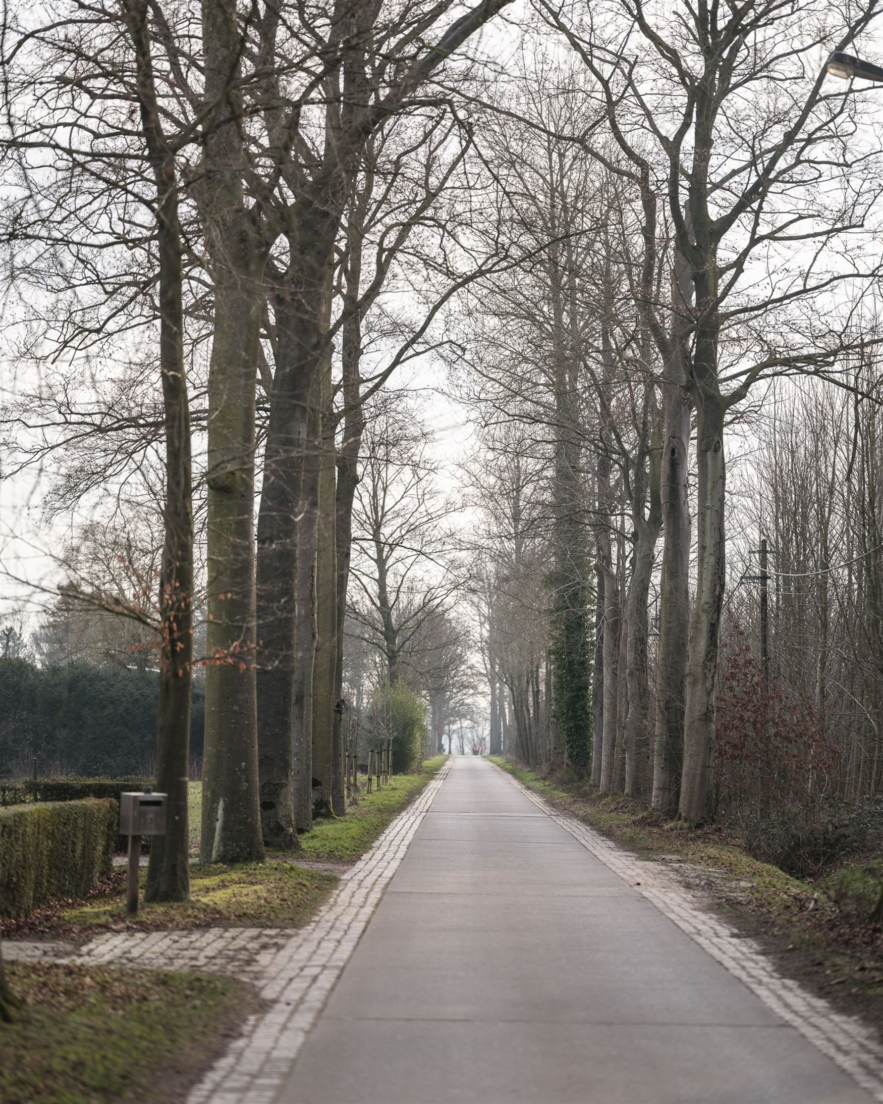Te renoveren villa met bijgebouw vlakbij Hansbeke foto 21