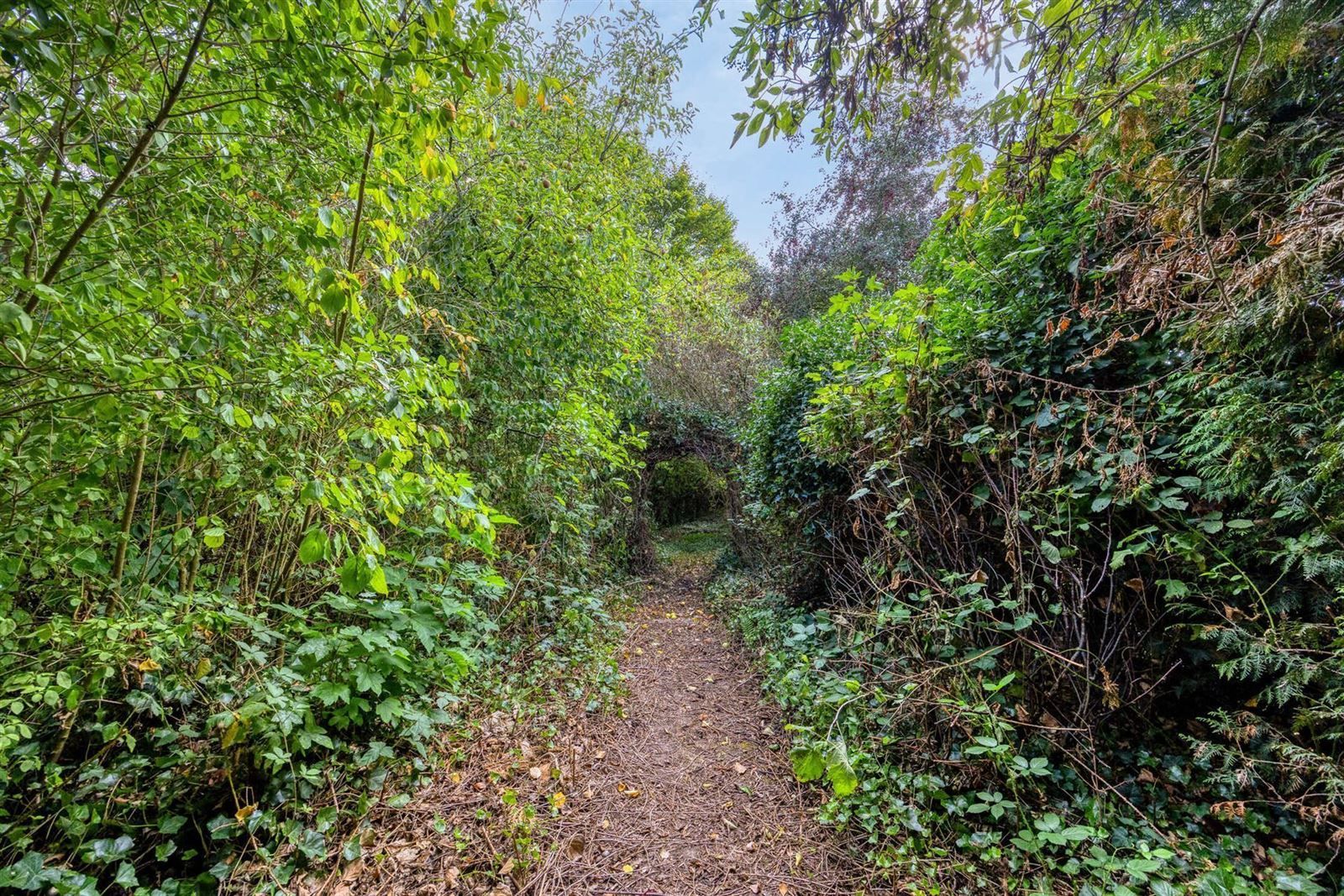 Charmante 3-gevelwoning (8a85) met mogelijkheid tot 5 slaapkamers te Halle foto 33