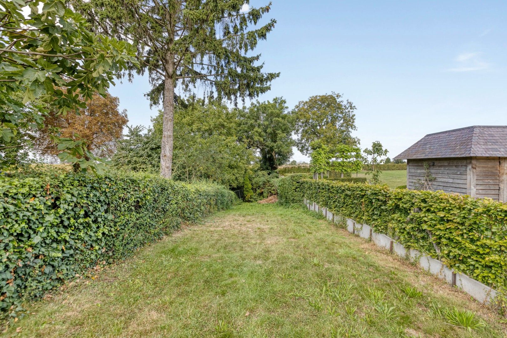 Misweg 35, Riemst 3770 foto 22