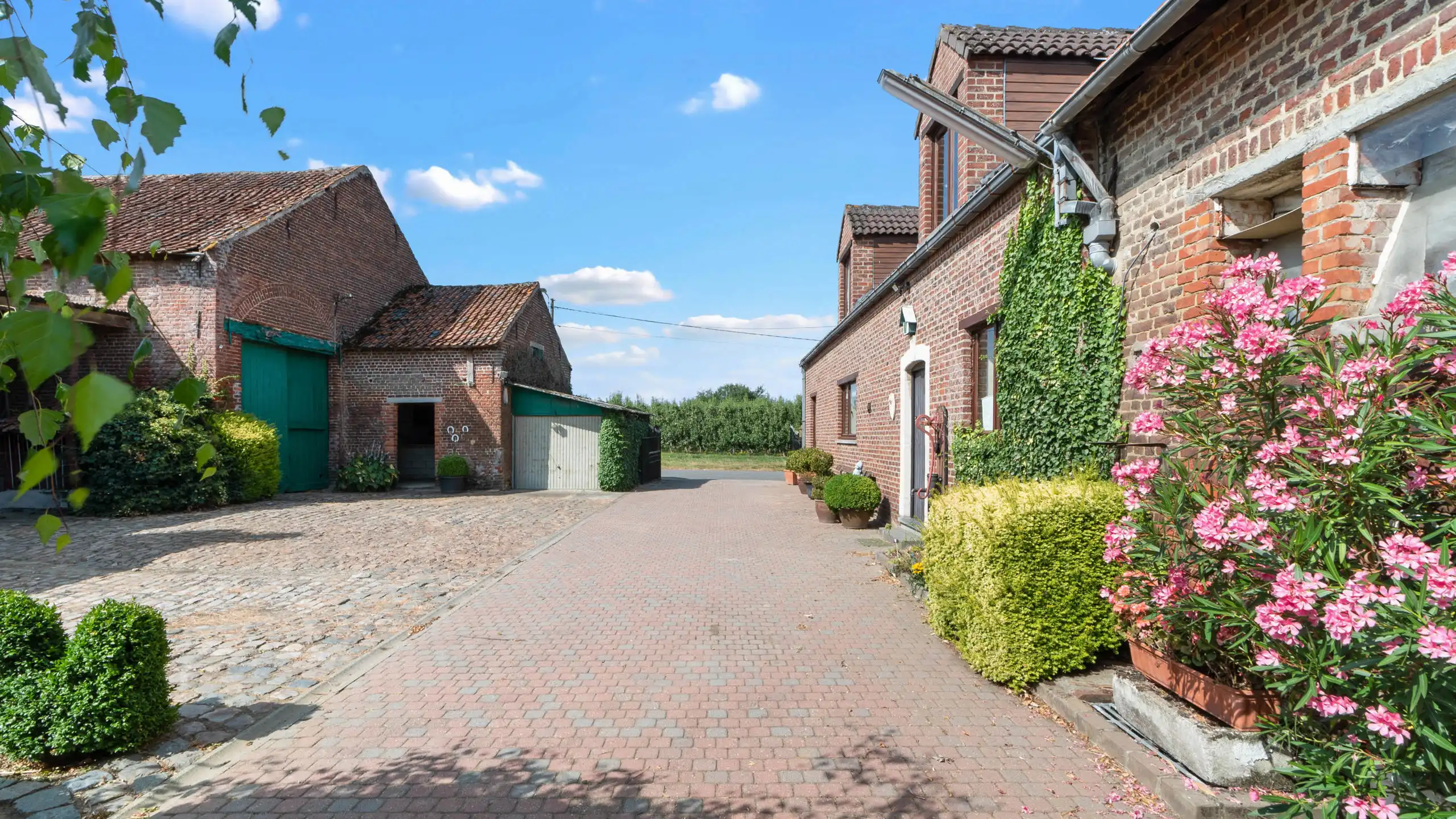TIELT-WINGE- Ruime woning met bijgebouwen, binnenkoer op 96a foto 7