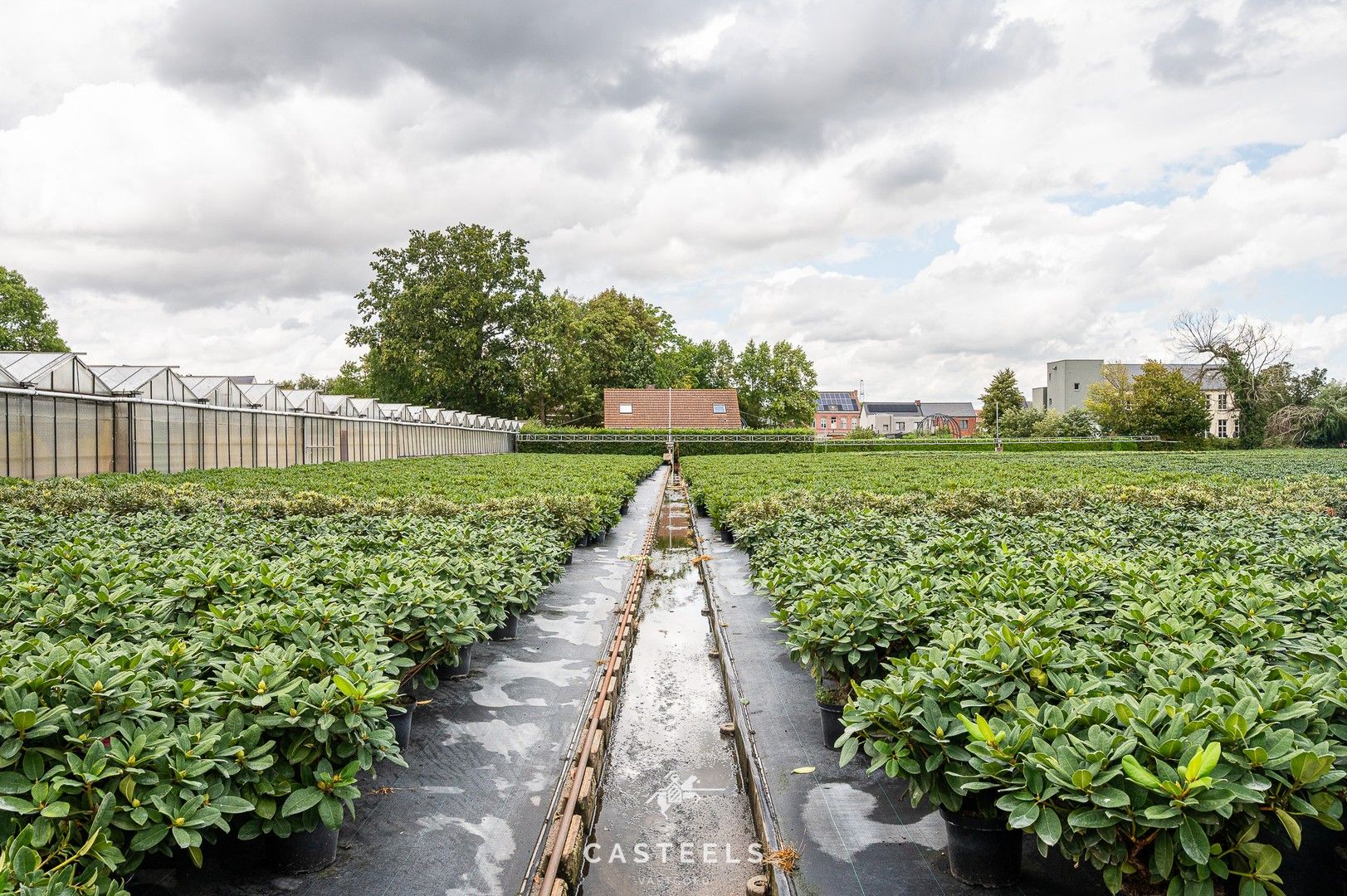 Uitzonderlijke tuinbouwsite in hartje Lochristi - 2,5 hectare met tal van mogelijkheden foto 11