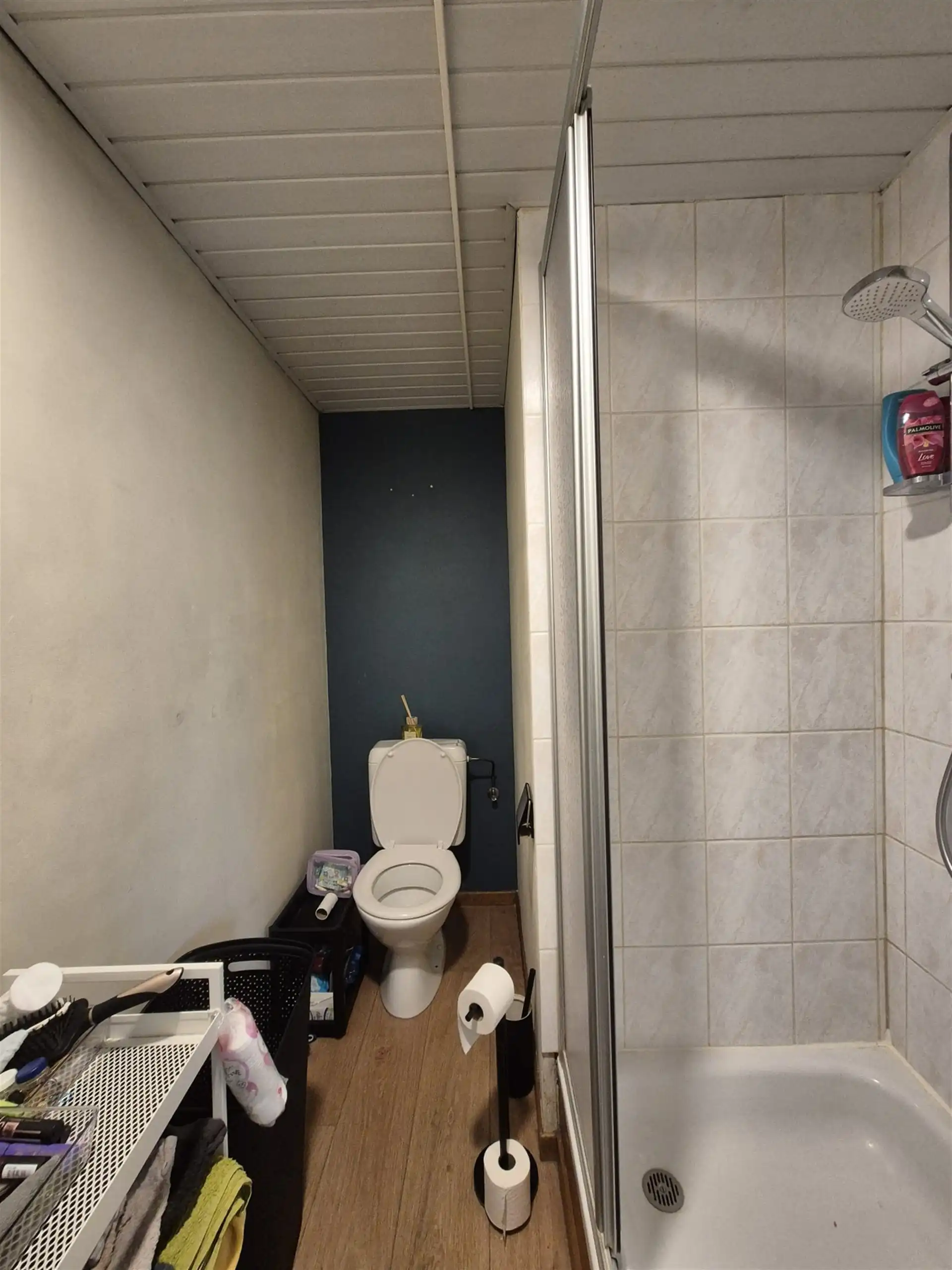 Gunstig gelegen dakappartement aan station.  foto 17