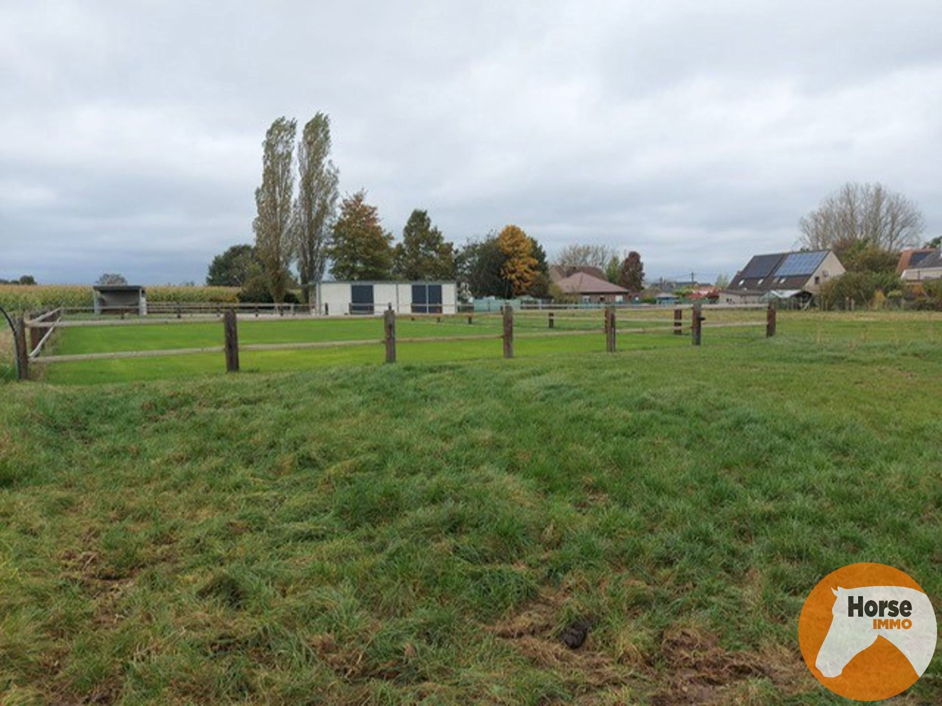 LEDE- Volledig aangelegde weide met praktisch stalgebouw foto 4