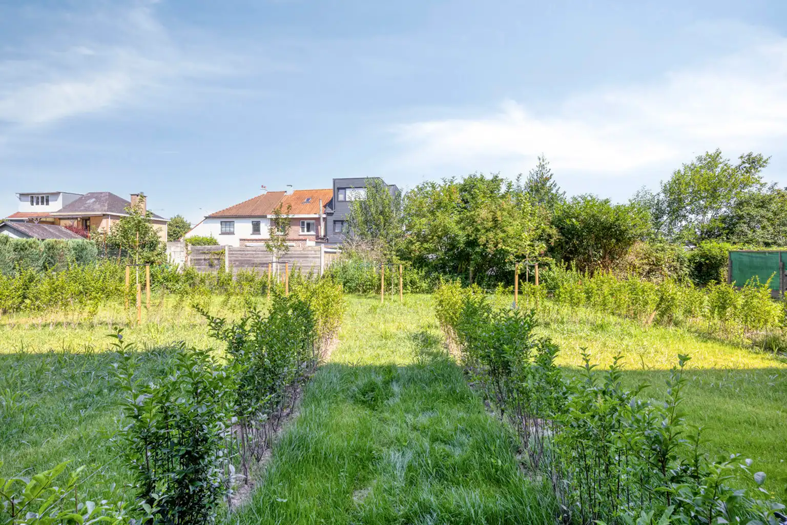 Energiezuinig nieuwbouwappartement 2 slaapkamers en terras foto 17