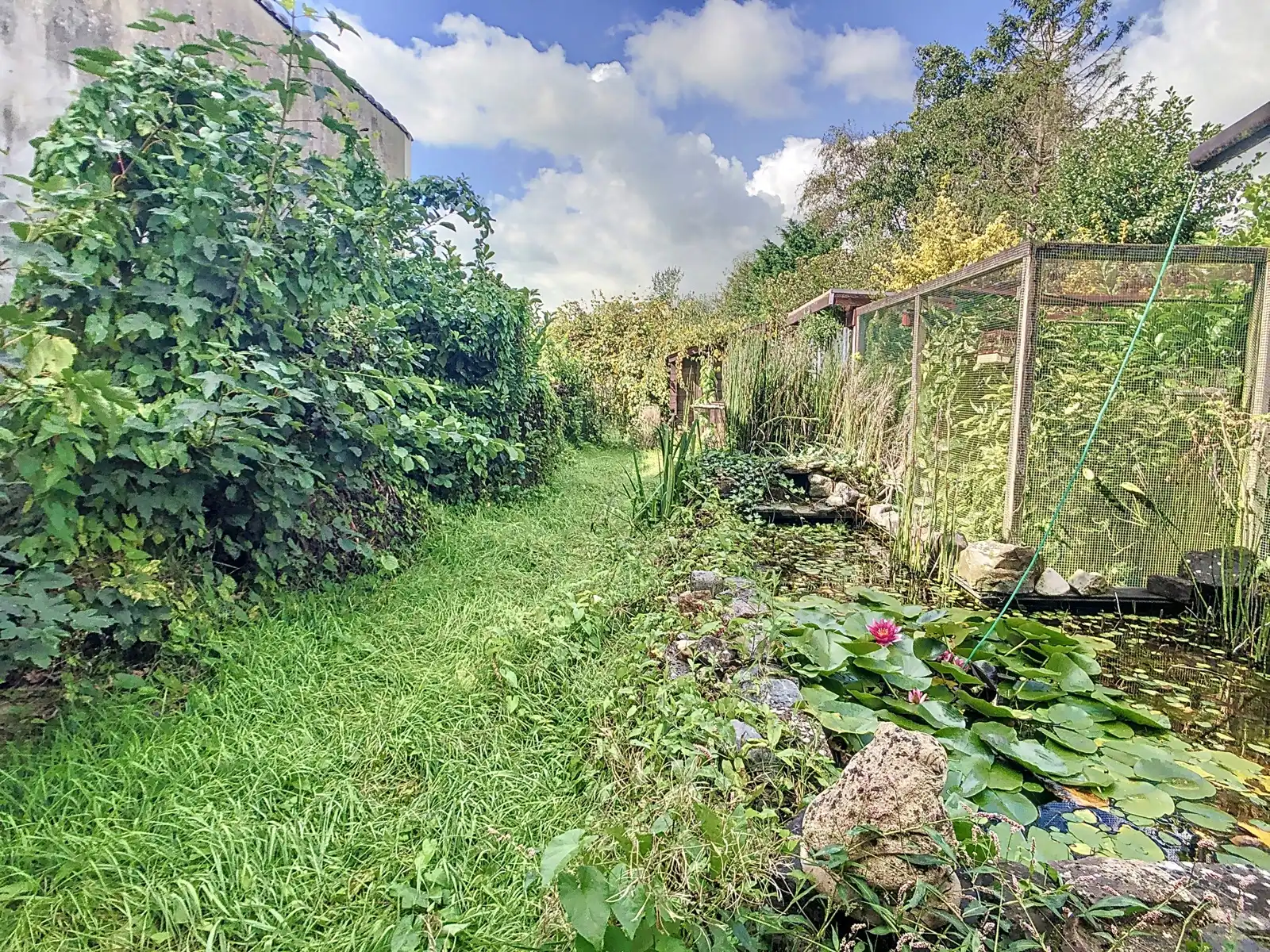 Hoofdfoto van de publicatie: Ophasselt: te moderniseren woning met potentieel