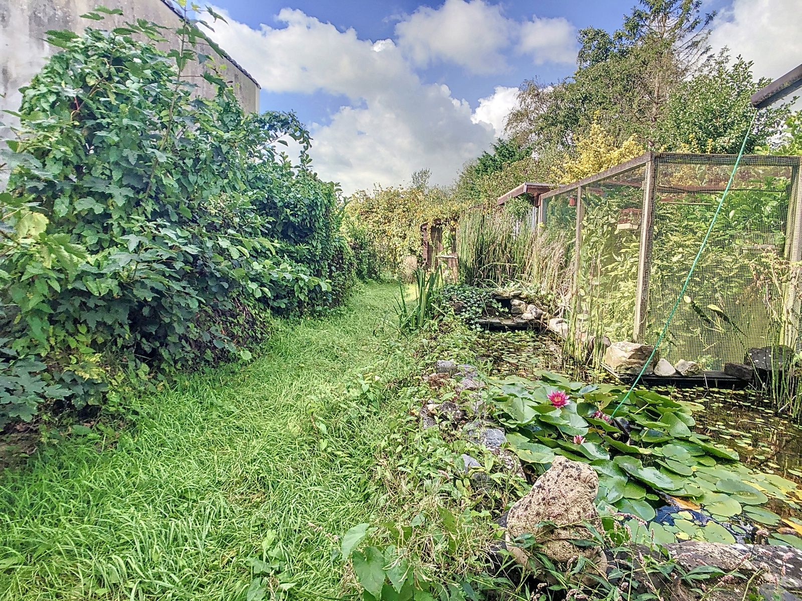 ()=>{if(producerUpdateValueVersion(node),producerAccessed(node),node.value===ERRORED)throw node.error;return node.value} Alfonslaan 51 - 9500 Geraardsbergen