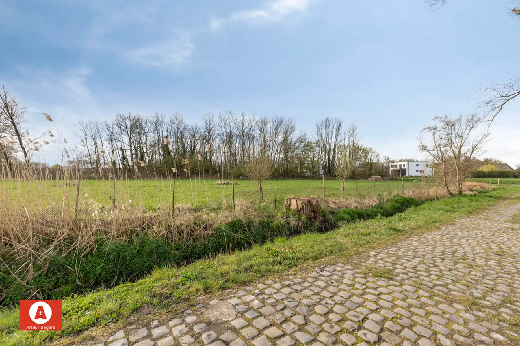 Weiland/Landbouwgrond van 86a 77ca in Buggenhout foto 3