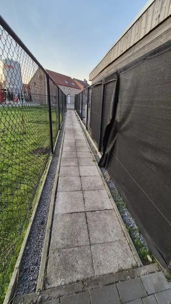 Veelzijdige woon- en werkcombinatie op een centrale ligging in Munsterbilzen foto 24