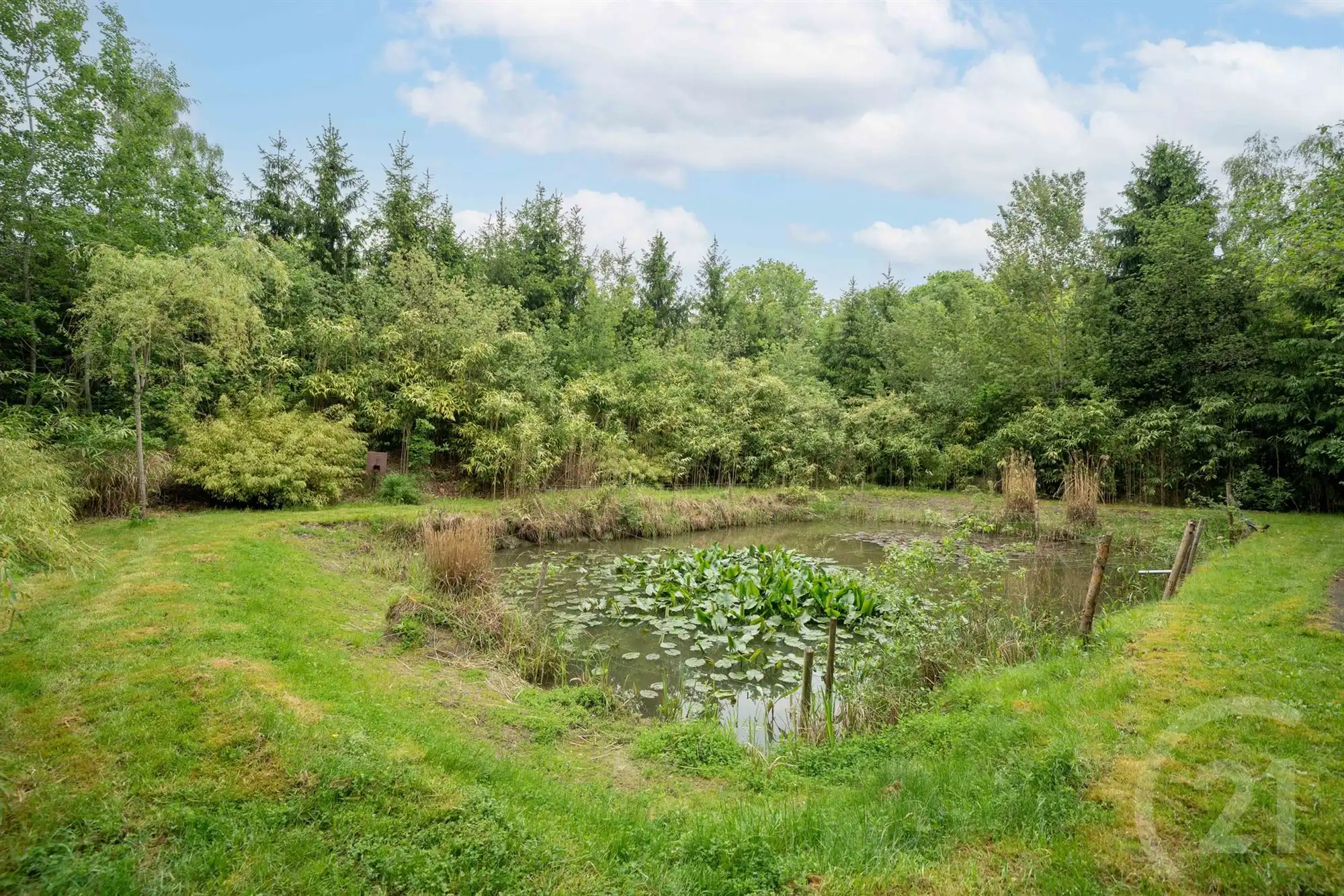 Landelijke woning met veel potentieel  foto 22
