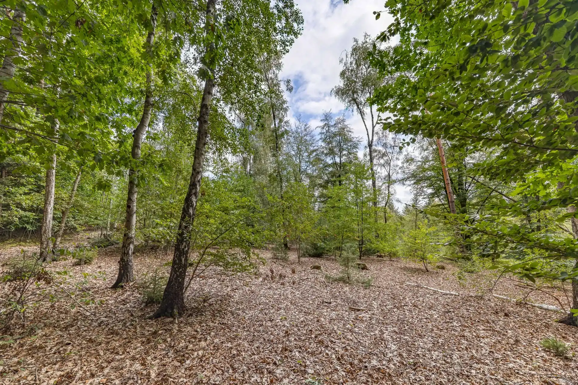 Exclusieve woning op bosrijk domein in Bolderberg foto 26