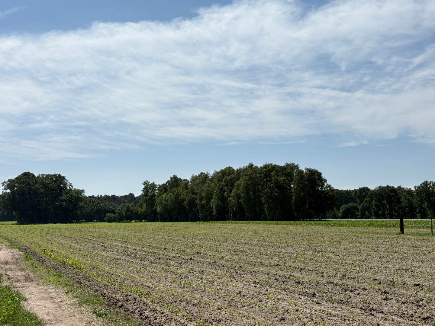 Mooi perceel weiland van 3.320 m², gelegen in Bel !  foto {{pictureIndex}}
