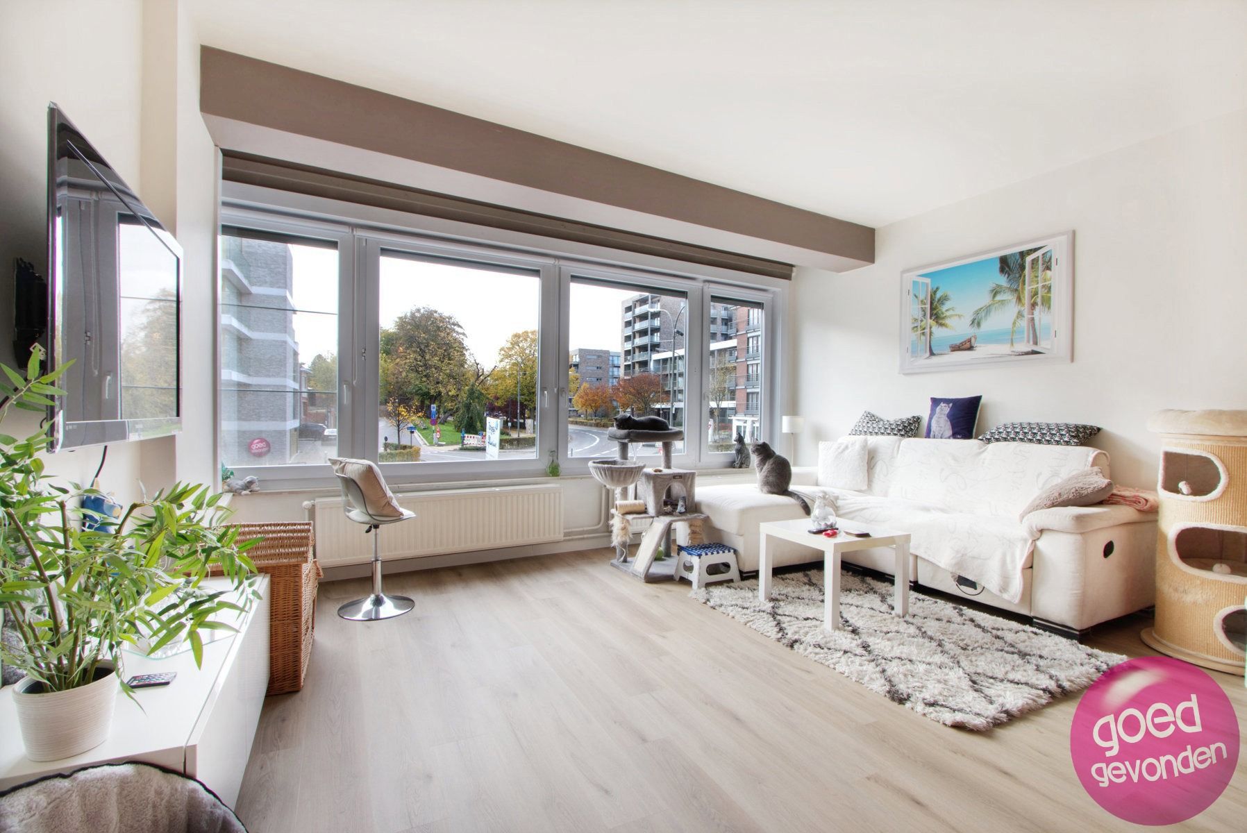 APP - 2 SLK - LIFT - GARAGEBOX - KELDER - TERRASSEN foto 4