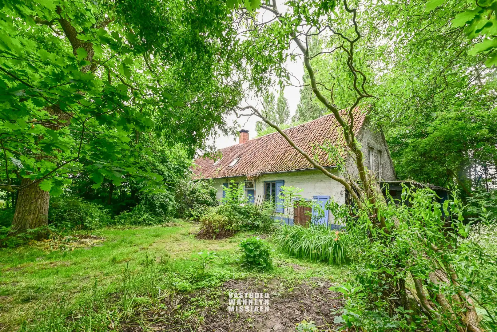 Gronding te renoveren landelijke woning op 3910m2 te Ruiselede foto 7